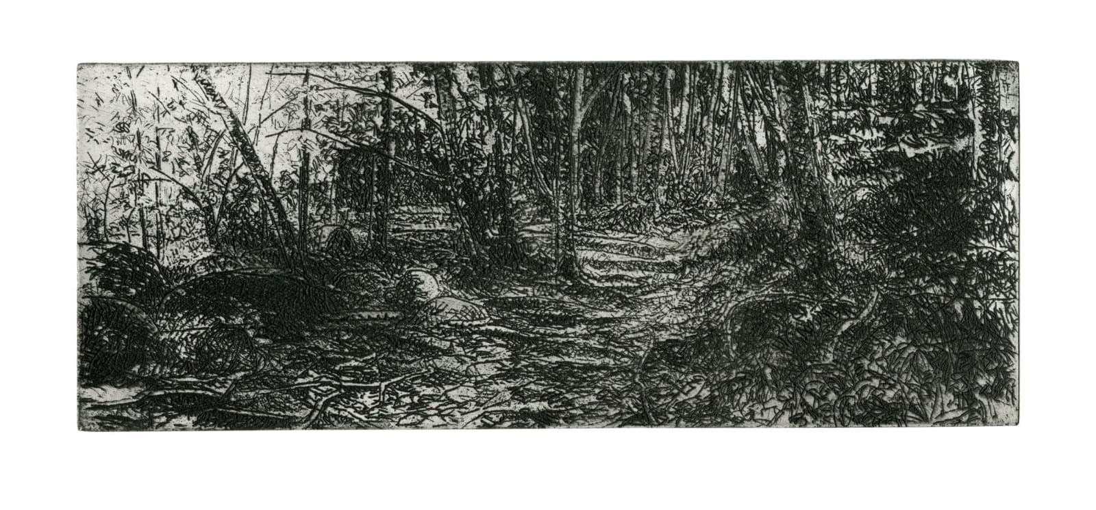 Austin Cole RE, A Walk in Betws Y Coed