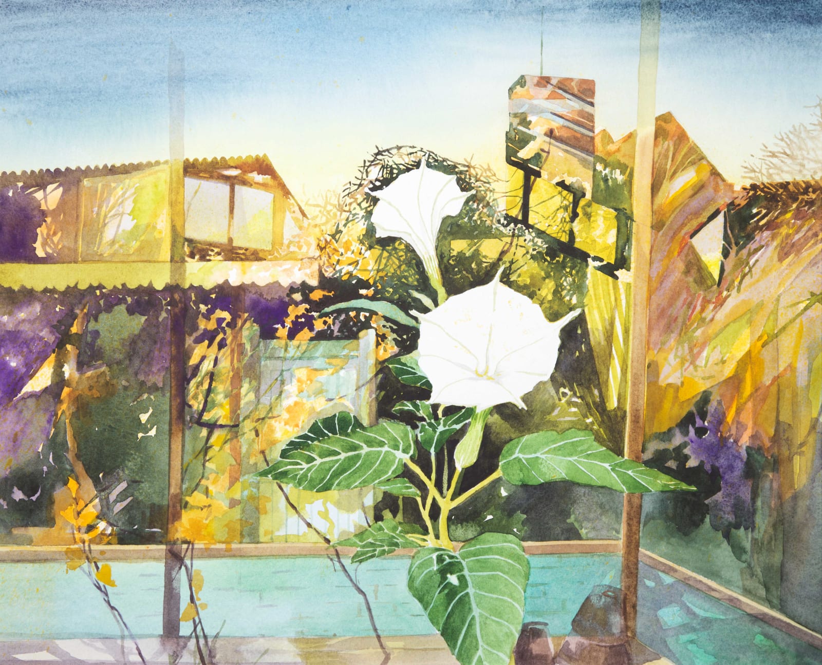 Olwen Jones RWS RE, Magic Evening