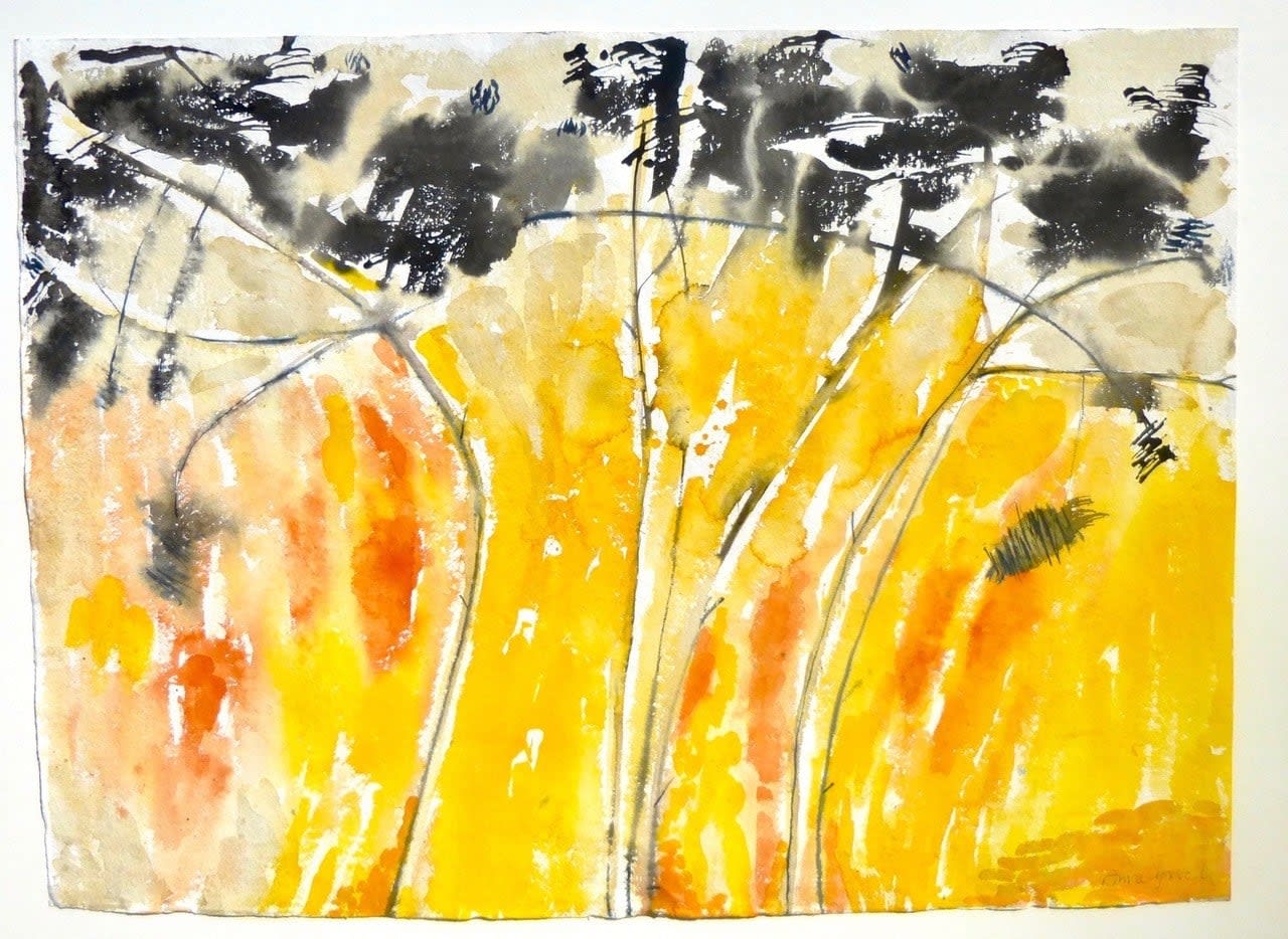 Anne Lynch VPRWS, Yellow Morning