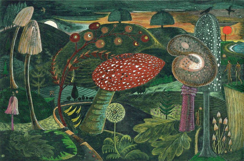 Kit Boyd ARE, Magic Mushrooms