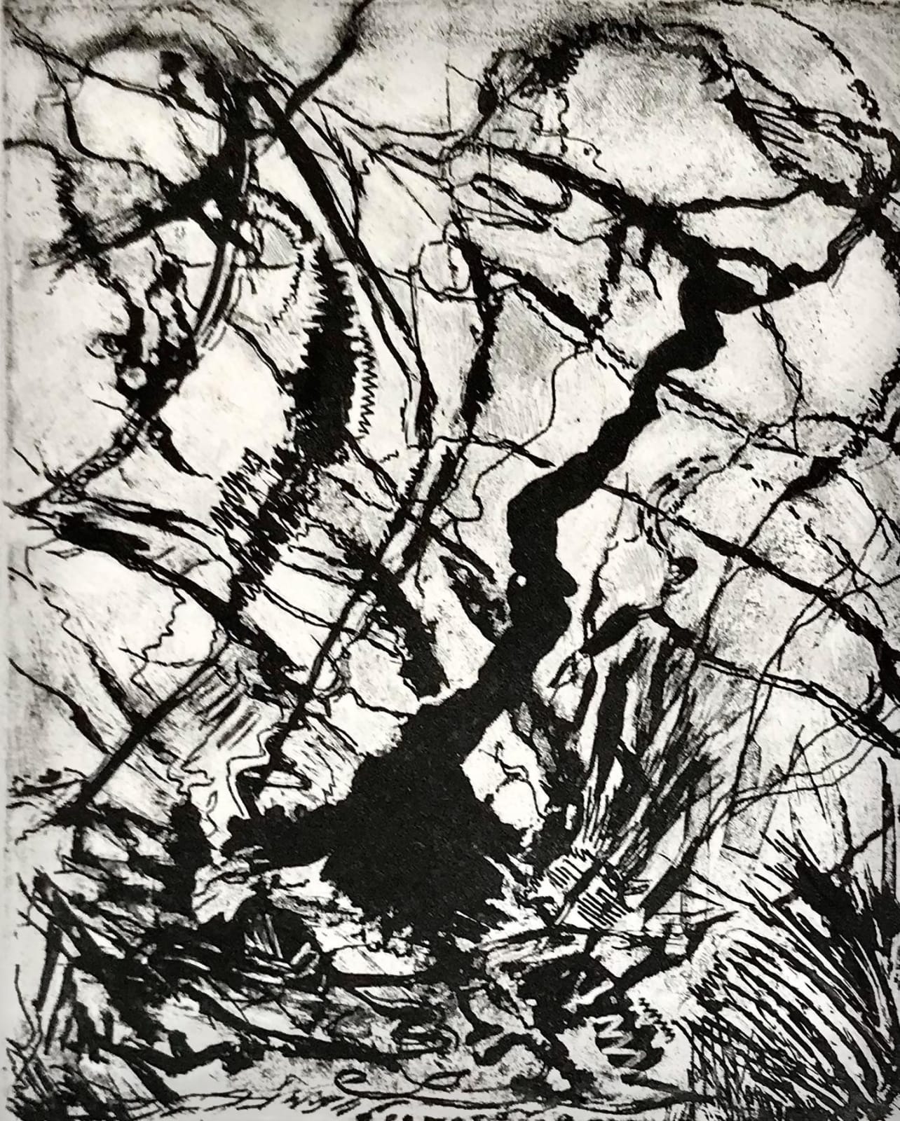 Jackie Newell RE, Into the Woods 2