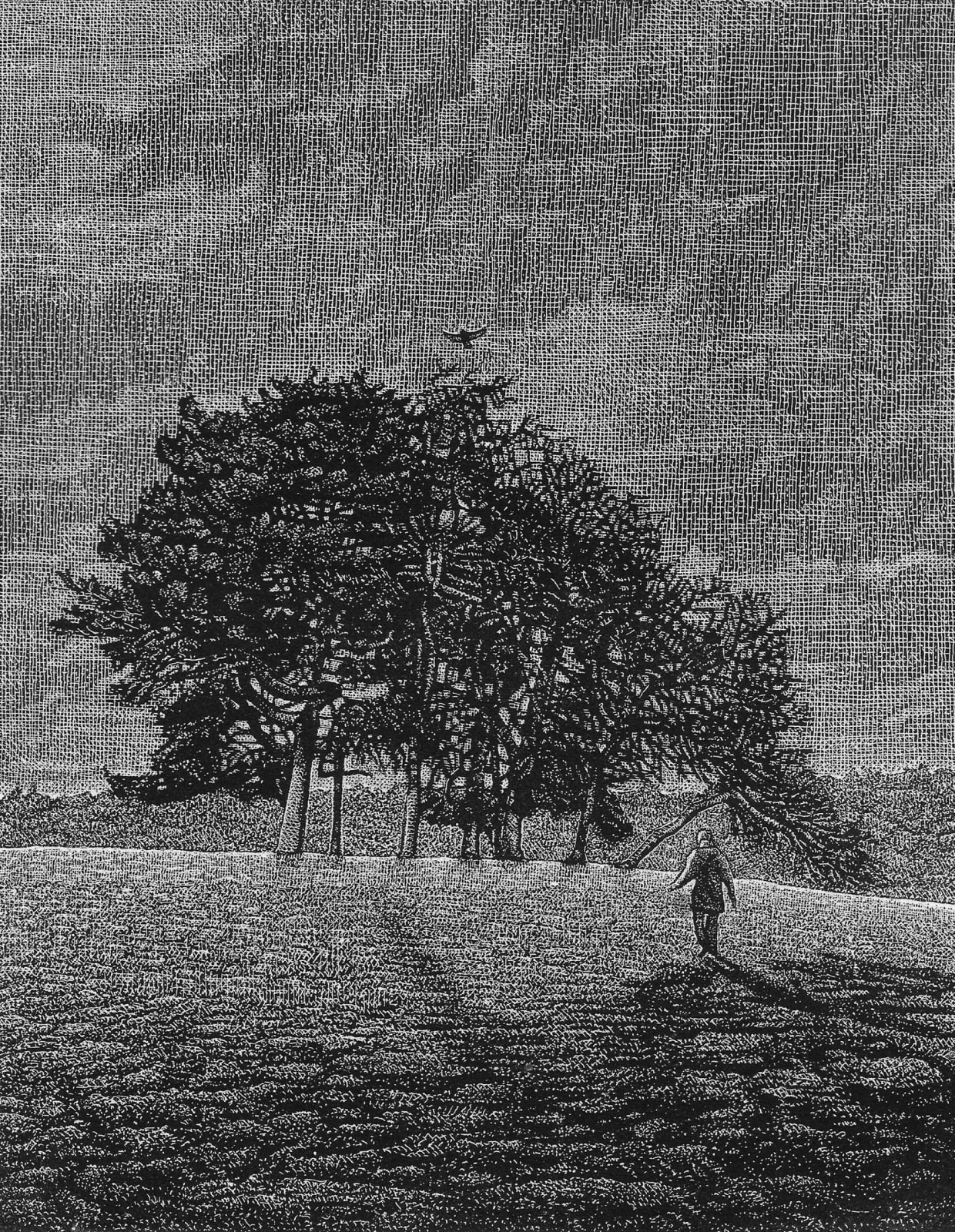 Raphael Appignanesi ARE, Middle Ground