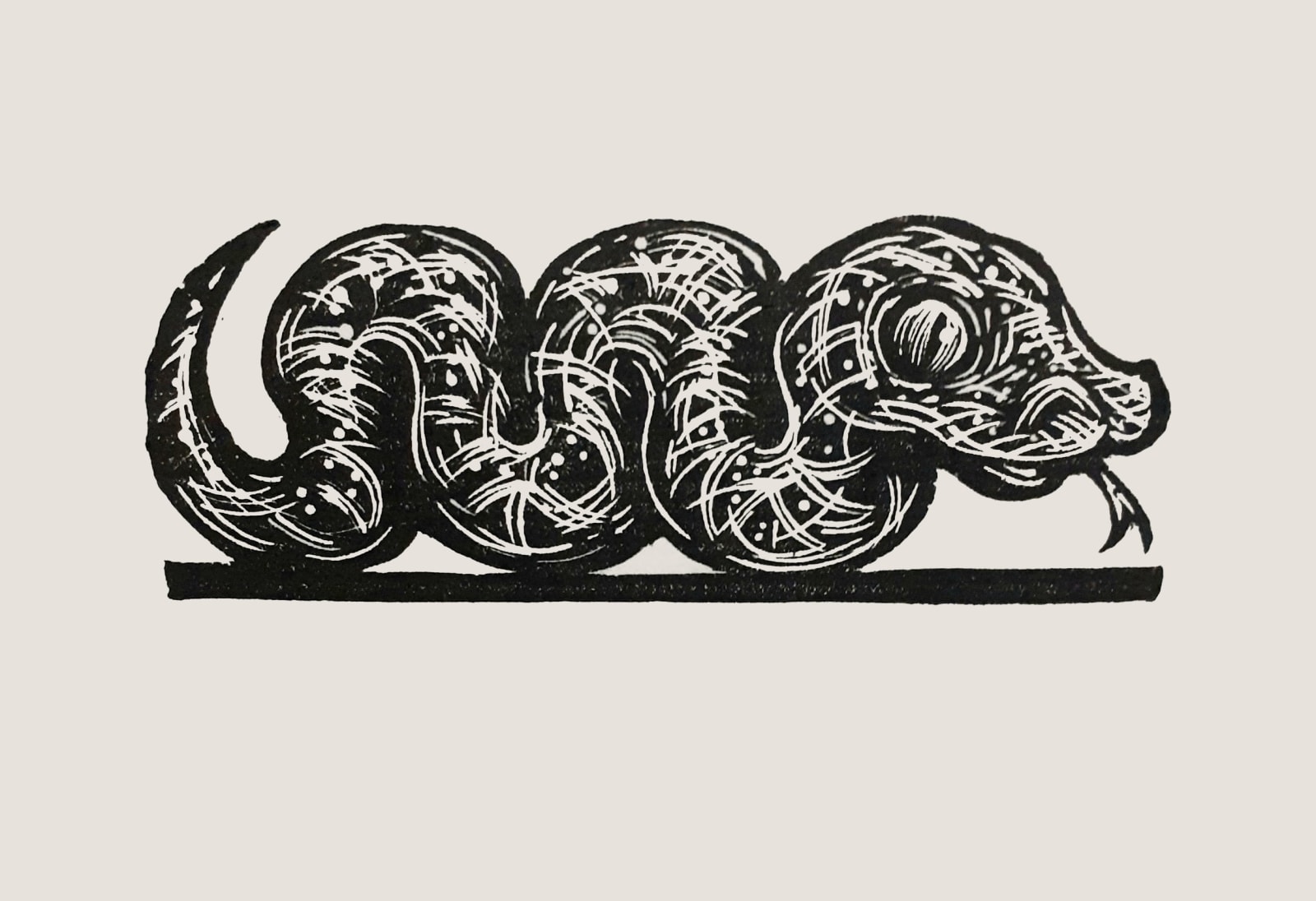 Brendan Hansbro ARE, Snake