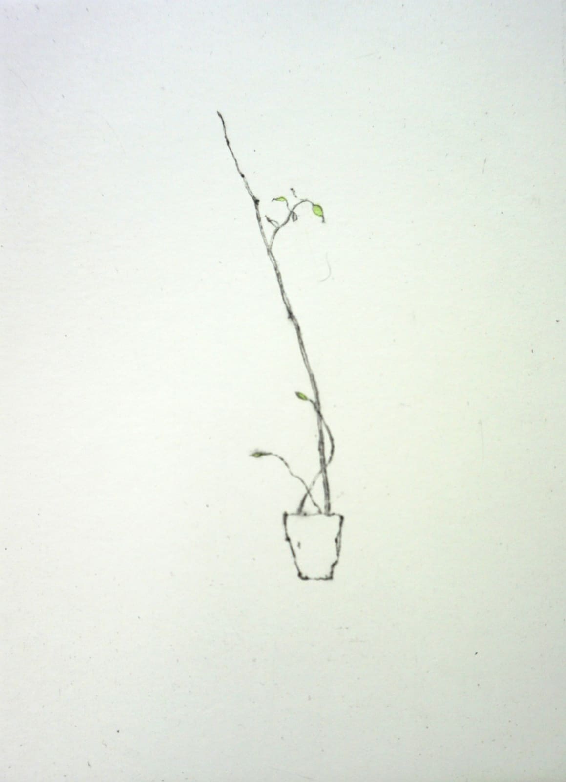 Lars Nyberg RE, 2021