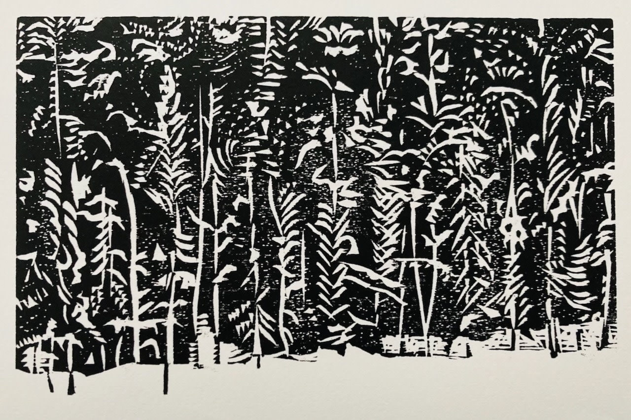 Sasa Marinkov RE, Forest Wall