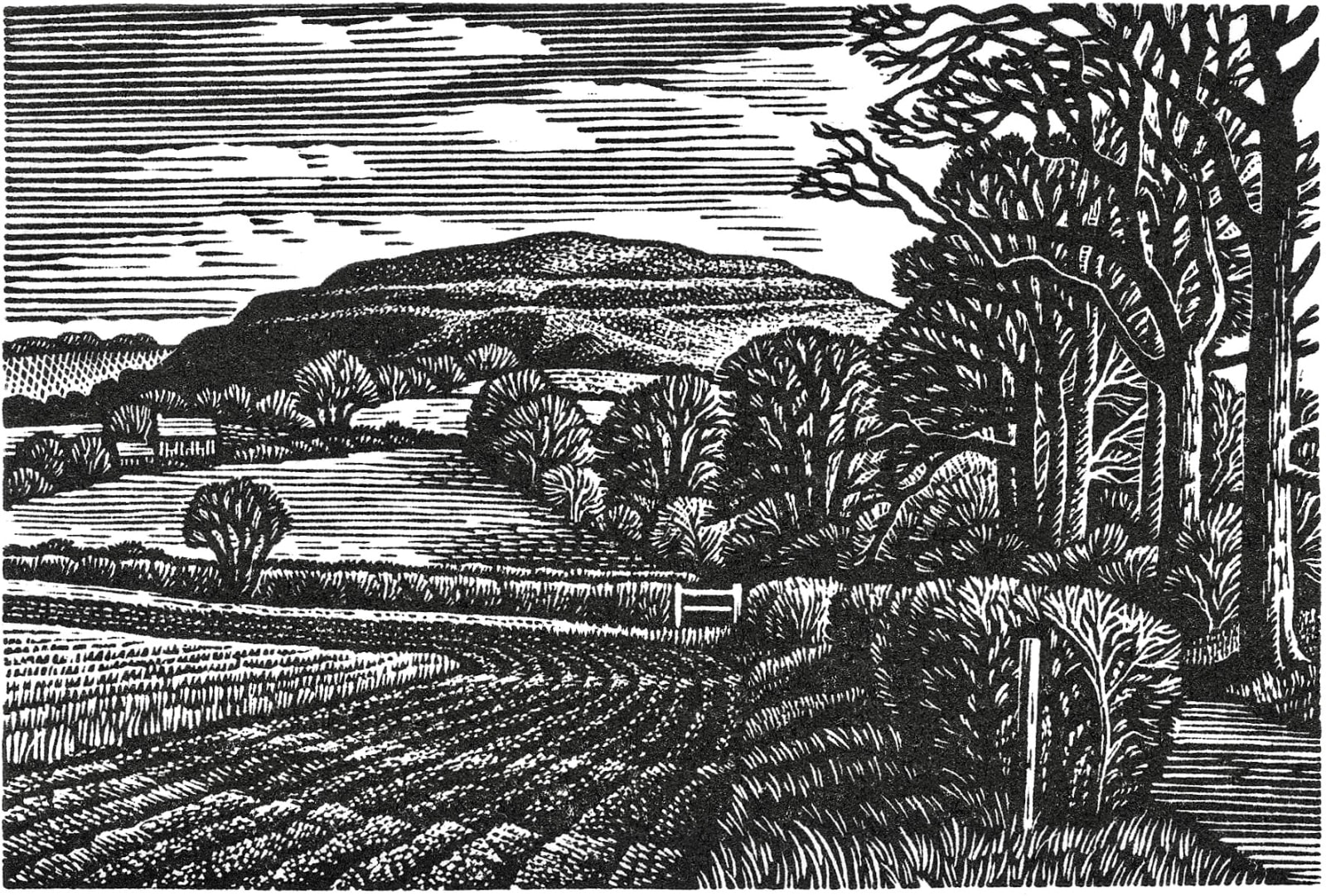 Howard Phipps ARE, Hambledon Hill in Winter