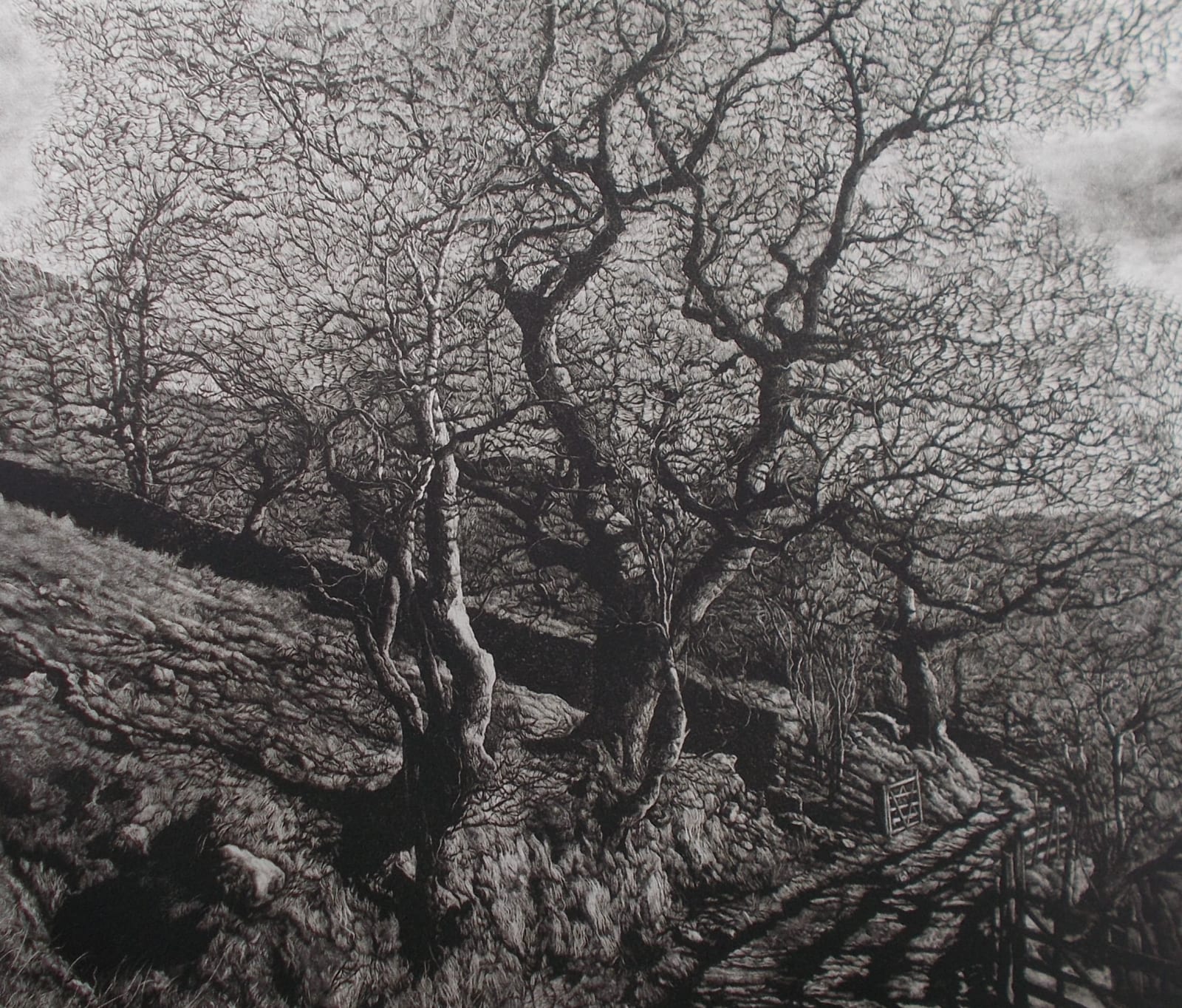 Martin Mitchell ARE, Swindale Spring 2019