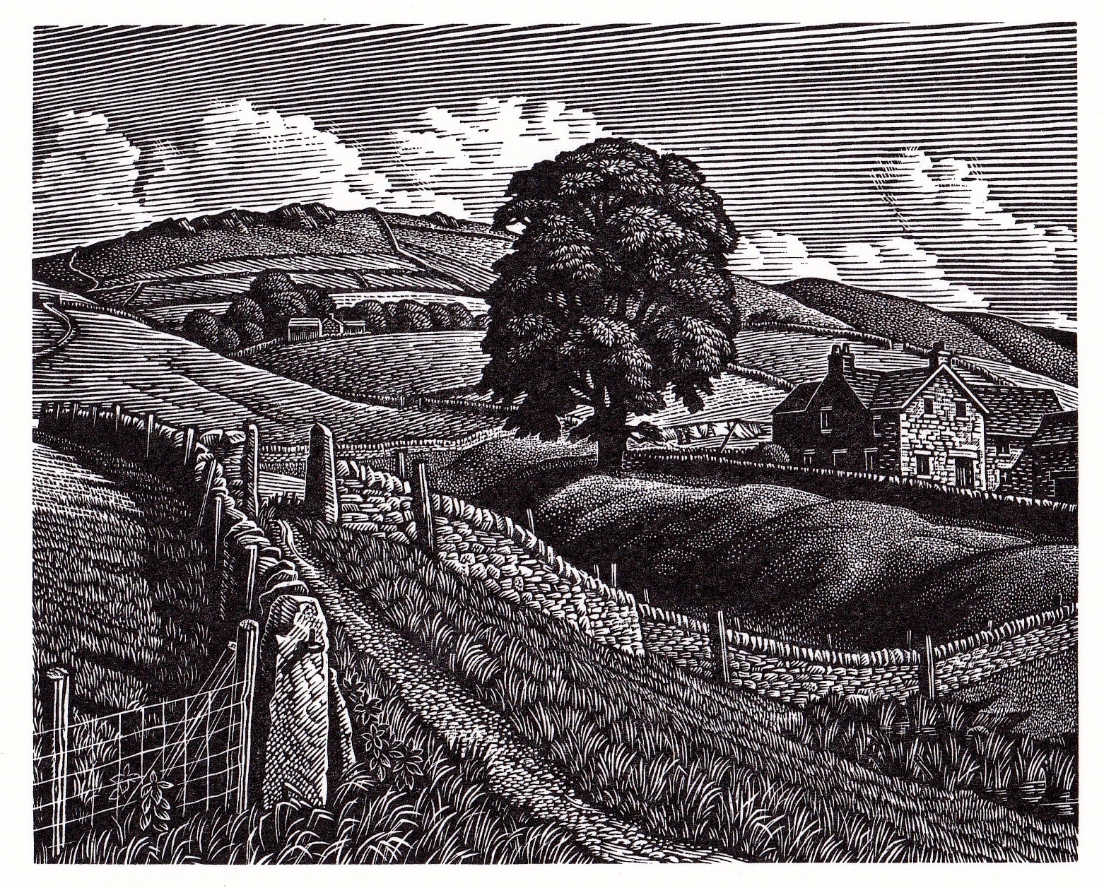 Howard Phipps ARE, Saltersford, A Moorland Farm