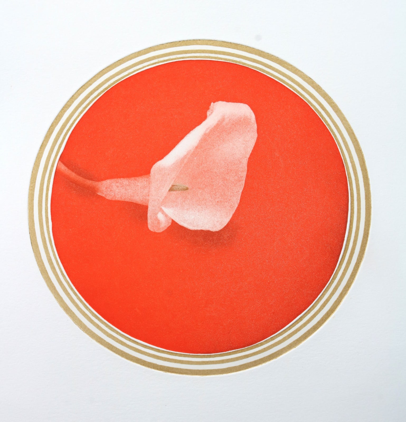 Emiko Aida RE, White Flower 1