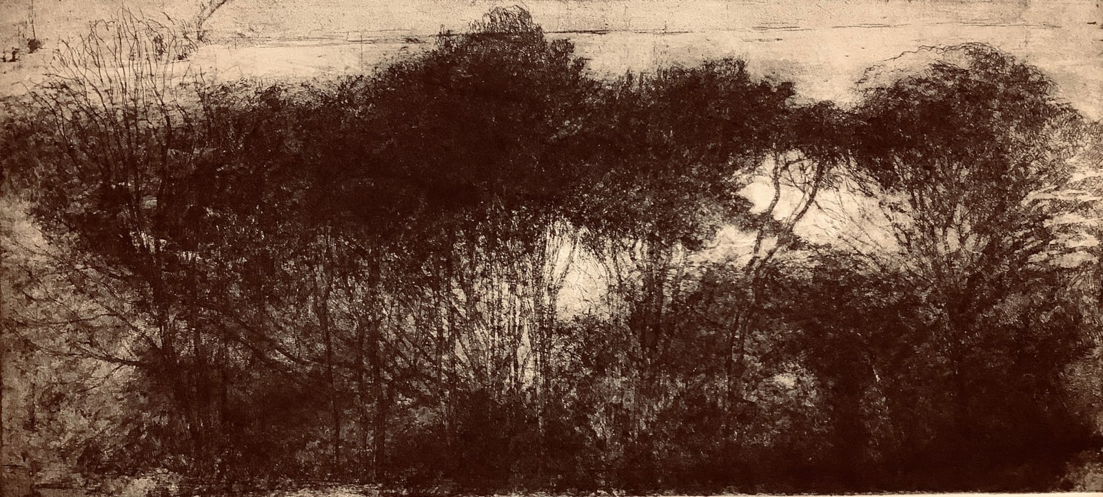 Desmond Healy ARE, Hampstead Heath, Thicket of Trees