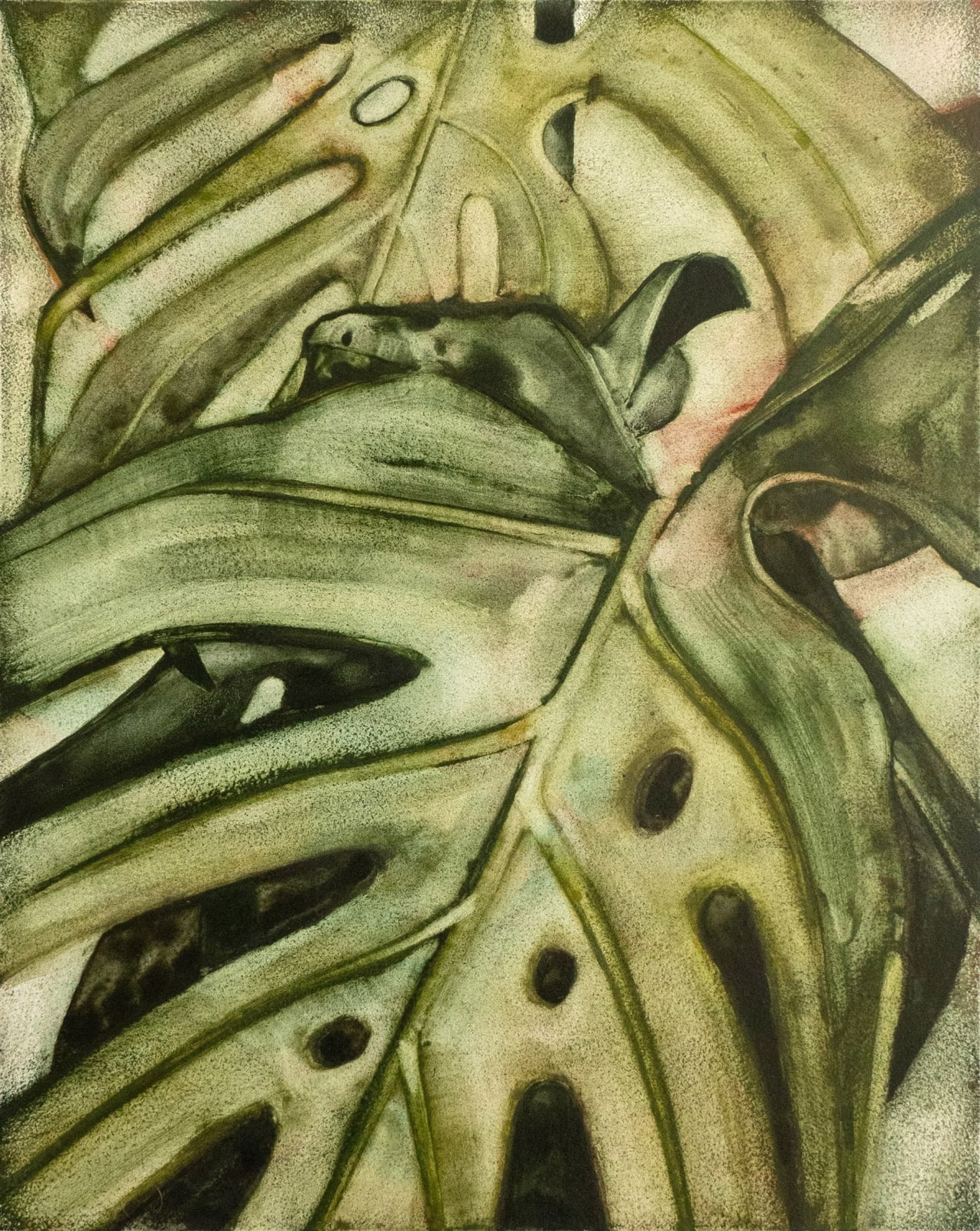 Noah Carter Guest RWS, Monstera