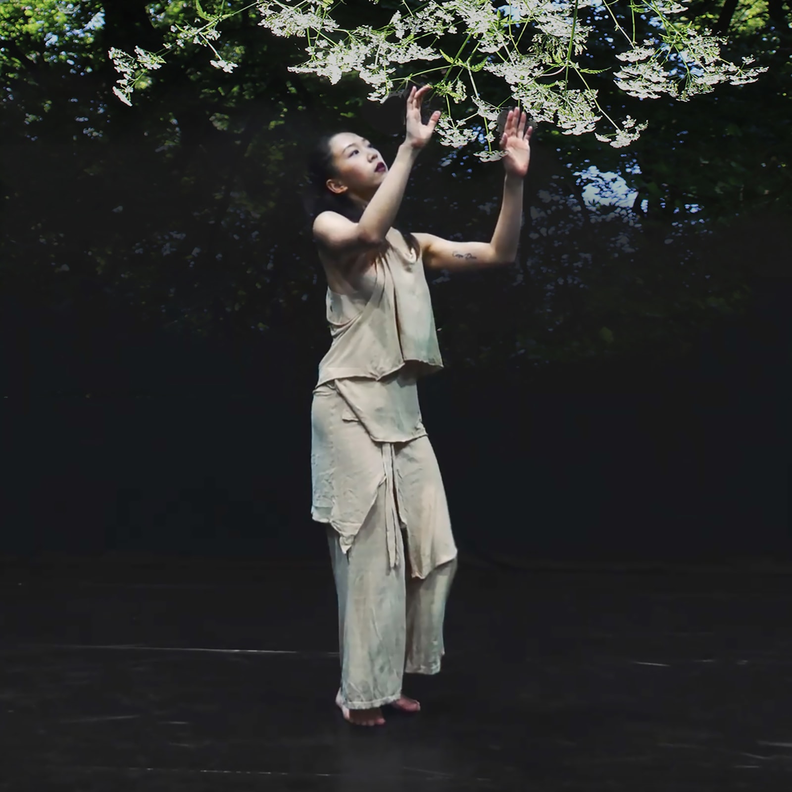 Margaret Ashman RE, Wishful Thinking (Cow Parsley)