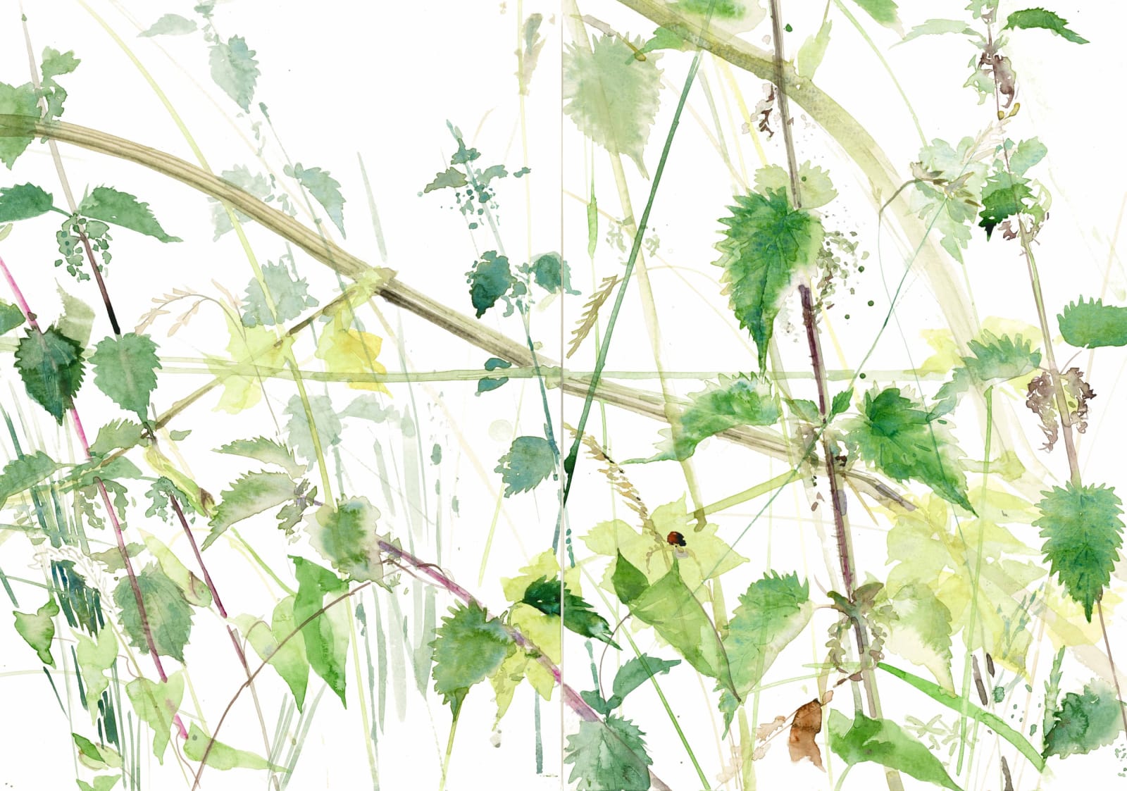 Emma Chambers RWS, An English Jungle V