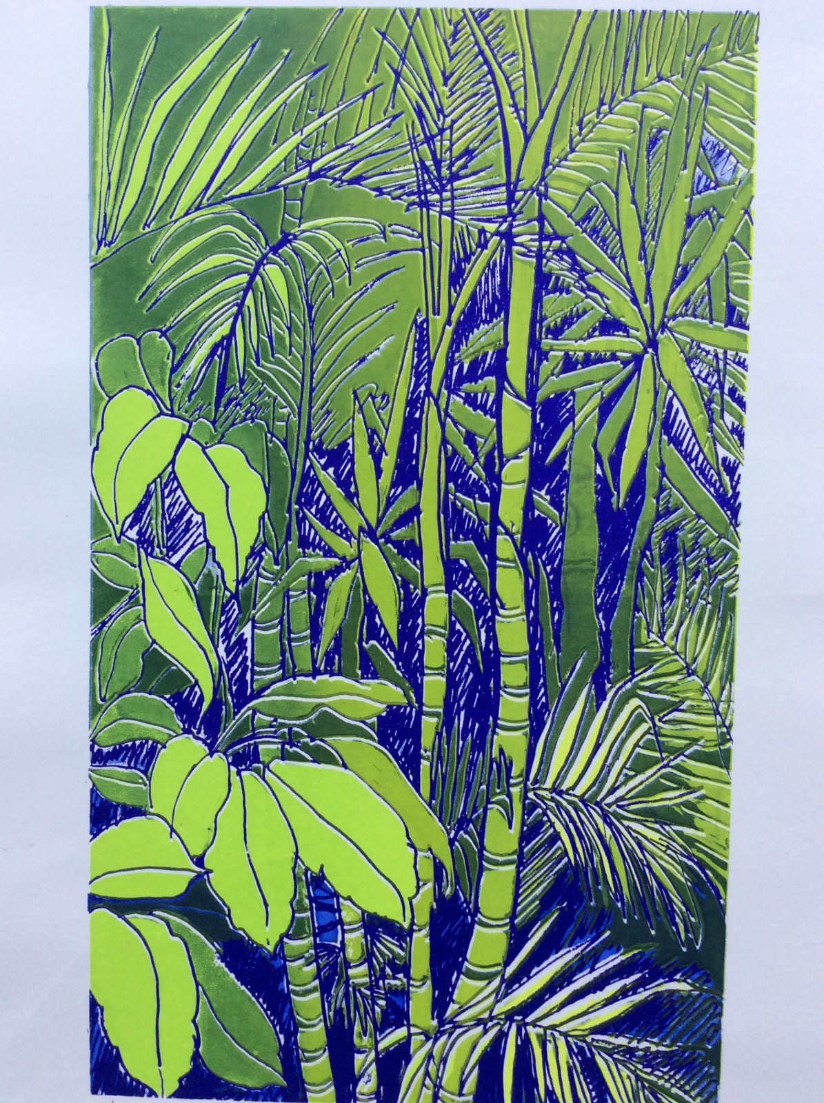 Margaret Sellars RE, Rainforest: Morning