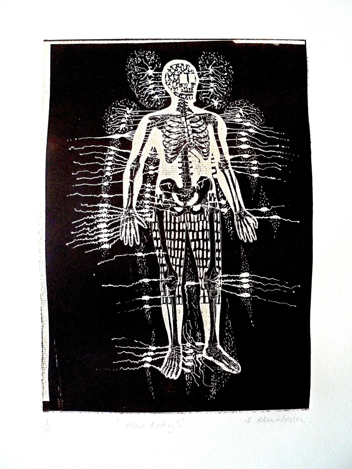 Stephen Mumberson RE, New Body 3