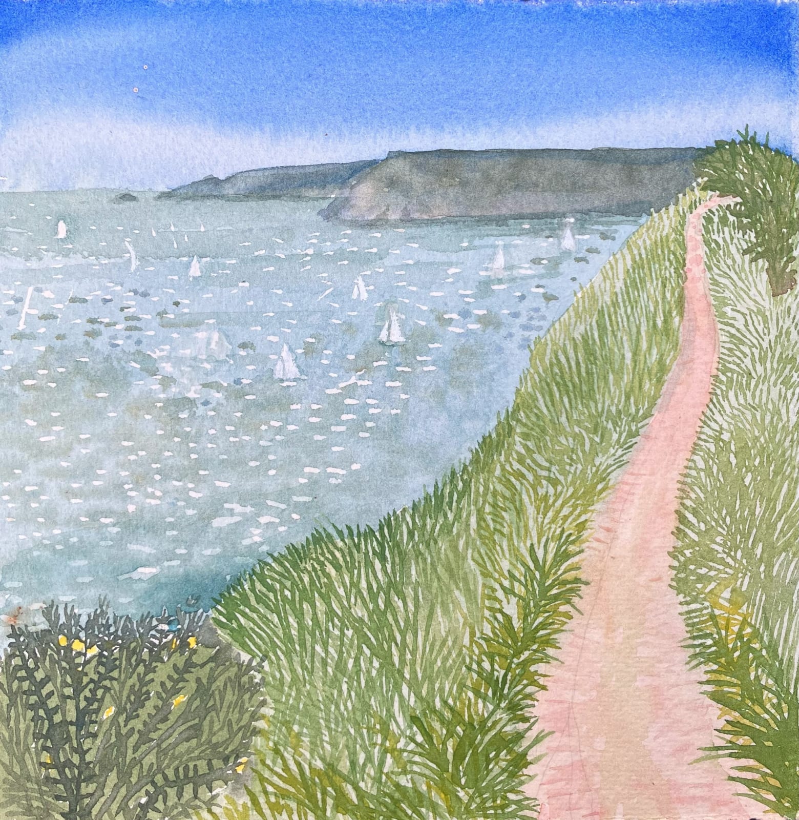 Suzy Fasht RWS, South West Coast Path, Towards Mill Bay