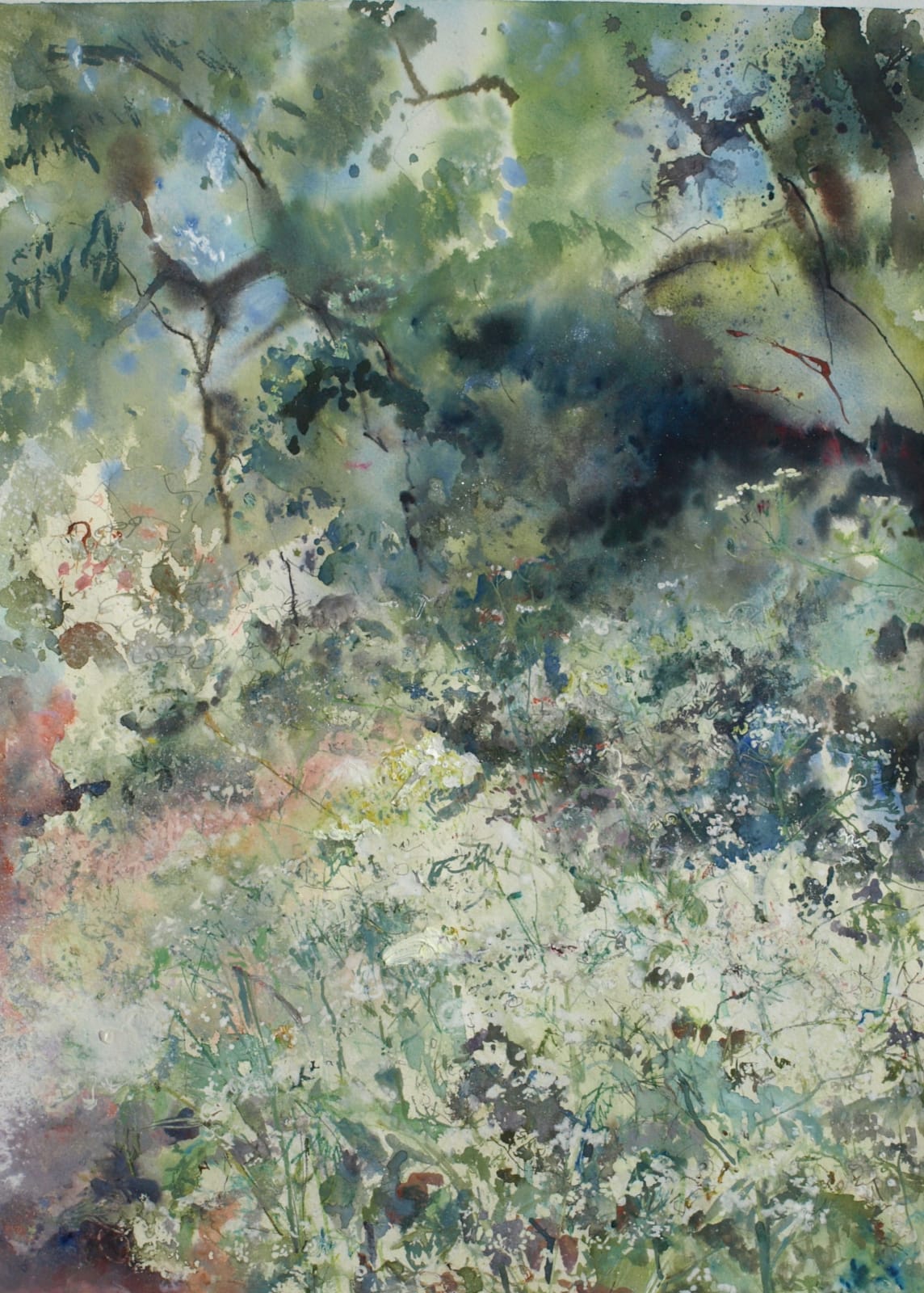 Sophie Knight RWS, Summer Bursts of Cow Parsley