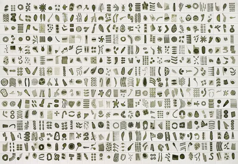 Rika Newcombe RWS, Micrarium no.9