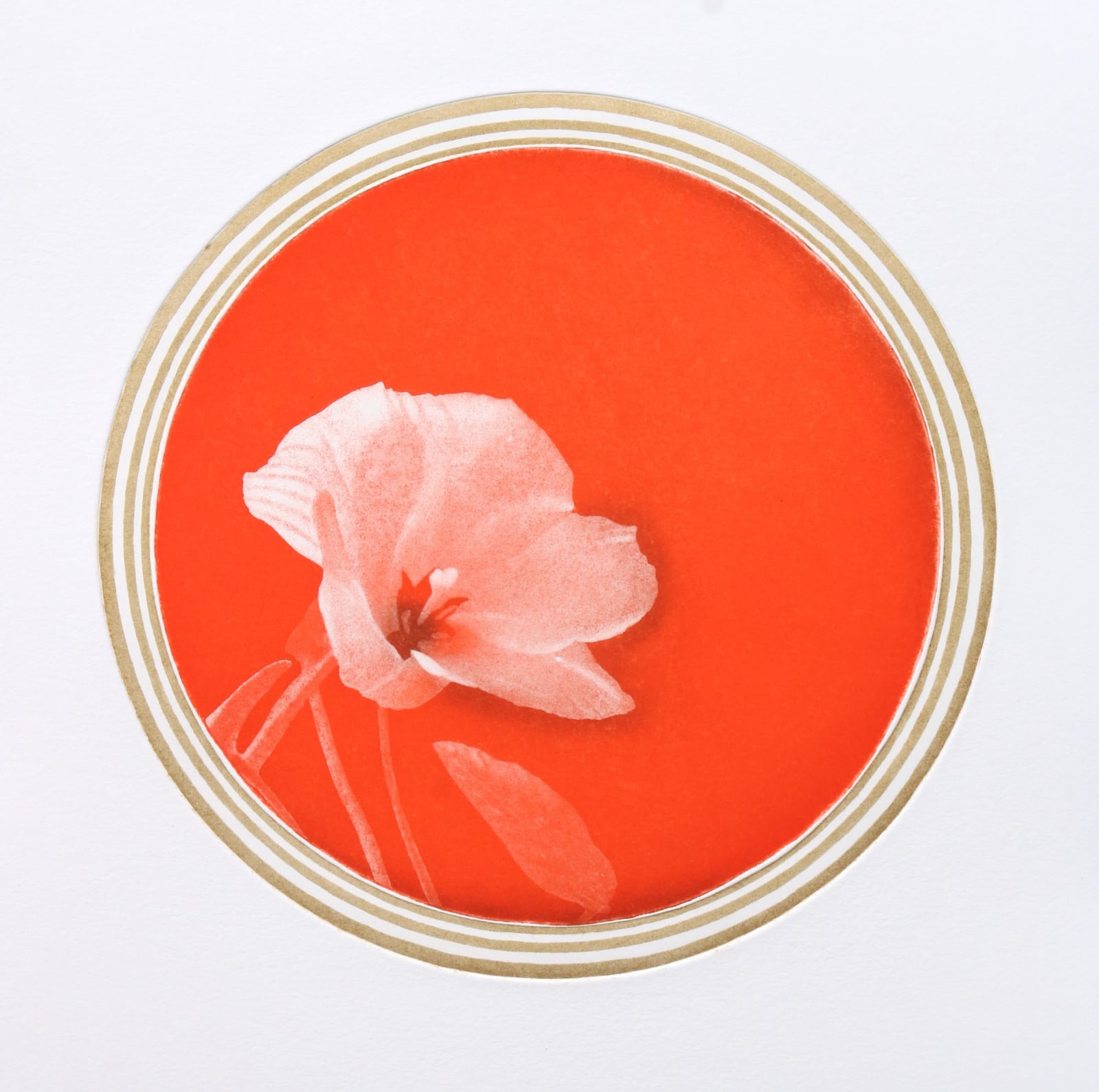 Emiko Aida RE, White Flower 2