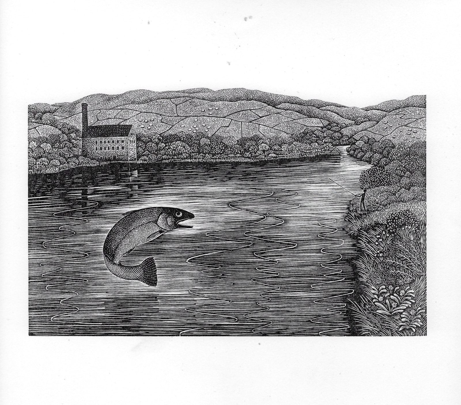 Hilary Paynter MBE PPRE Hon. RWS, Leaping Trout