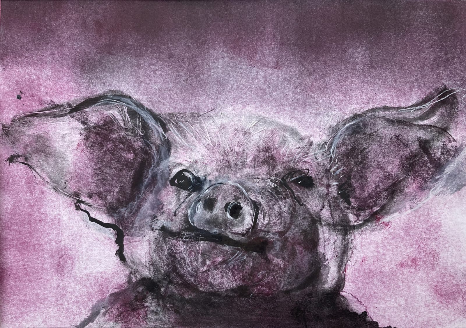 Chris Salmon RE, Pink Pig