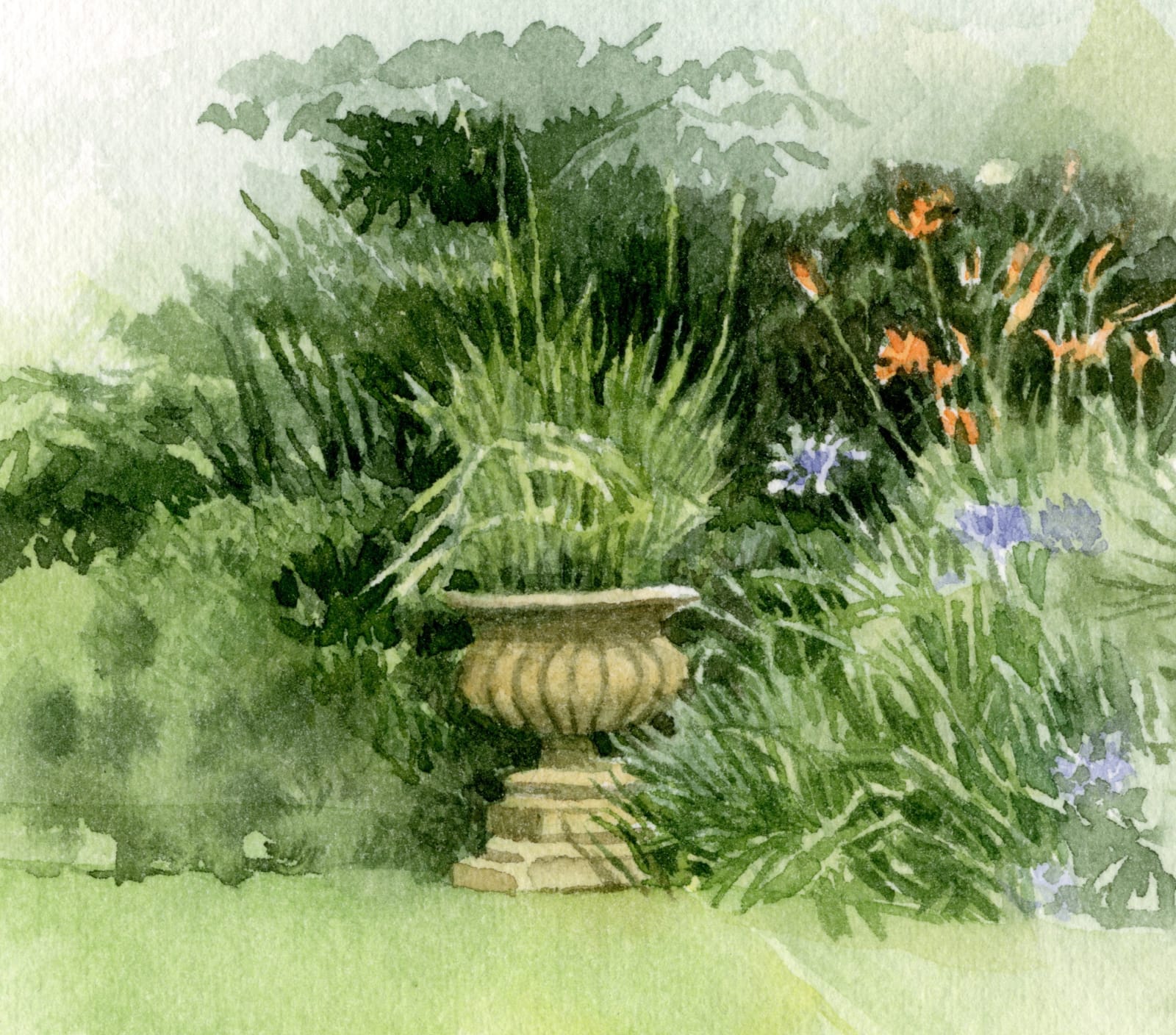 Liz Butler RWS, Agapanthus at the Chelsea Physic Garden