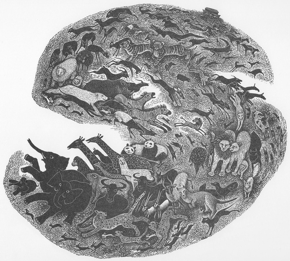 Hilary Paynter PPRE Hon. RWS, Released from the Ark