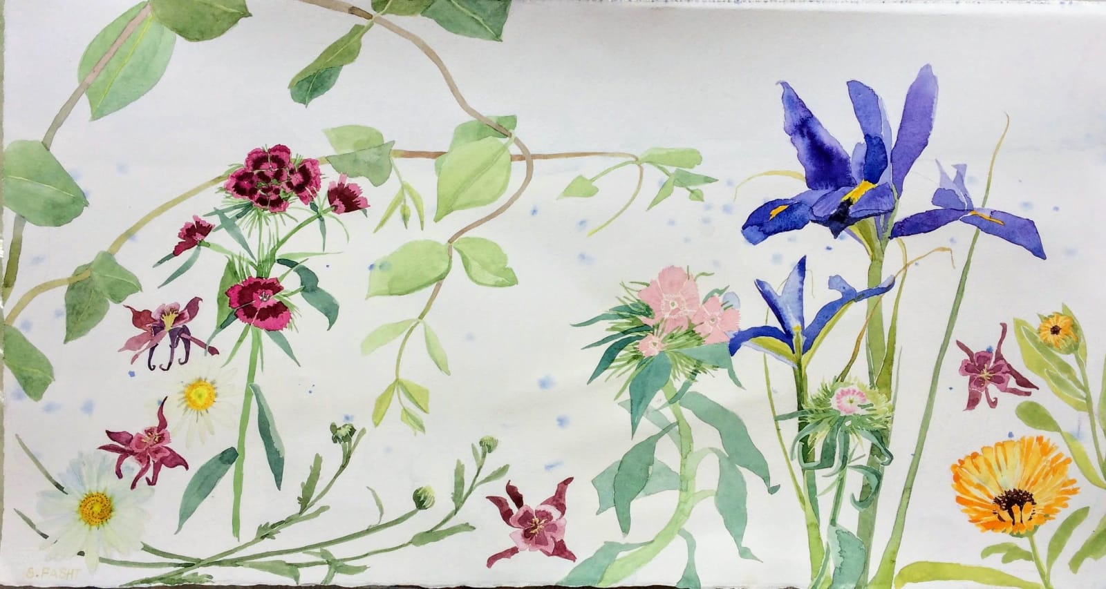 Suzy Fasht RWS, Iris and Sweet Williams