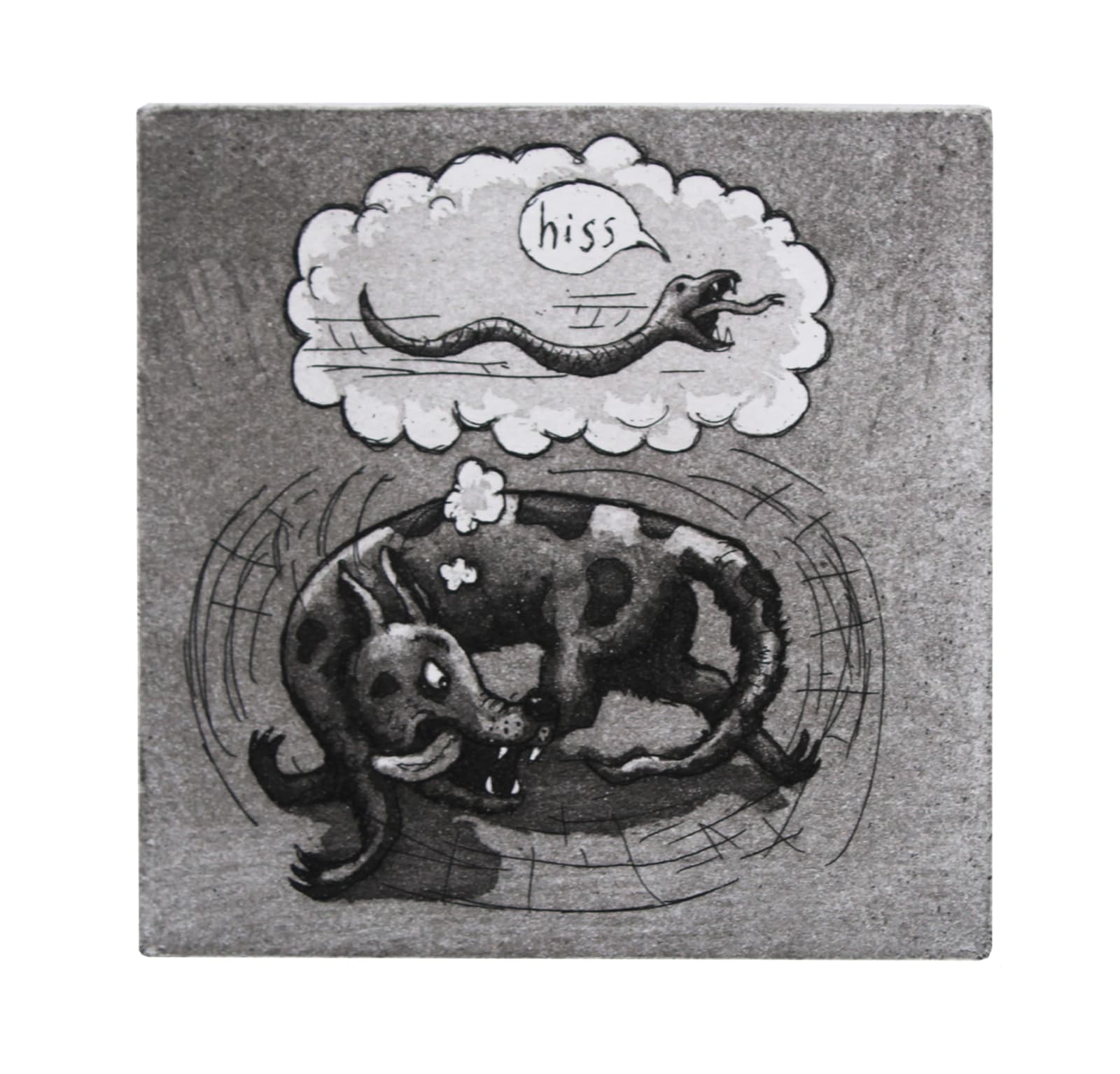 Martin Langford RE, Snake