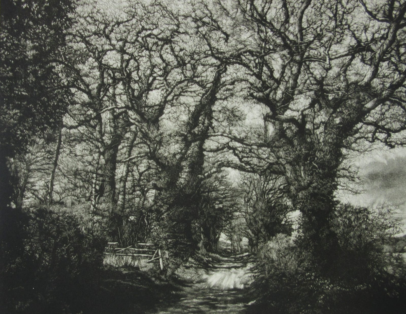 Martin Mitchell ARE, Hidden Paths