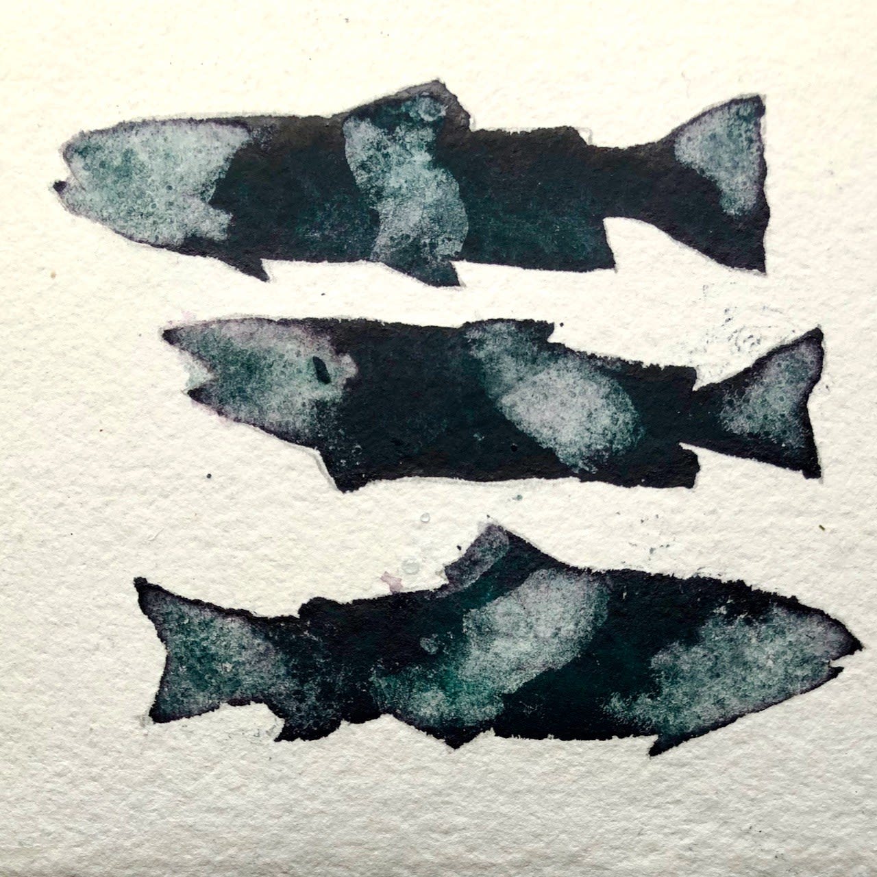 Martin Jacobs RWS, Fish