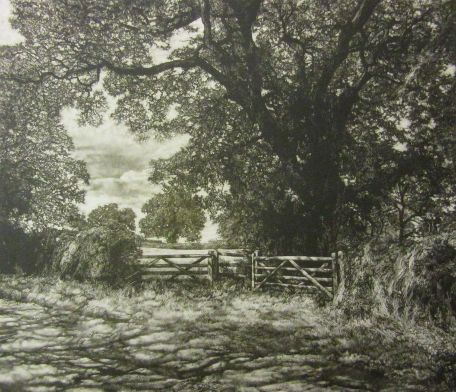 Martin Mitchell ARE, Summer Shadows