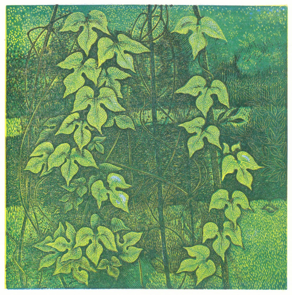 Hilary Paynter MBE PPRE Hon. RWS, Autumn Survival