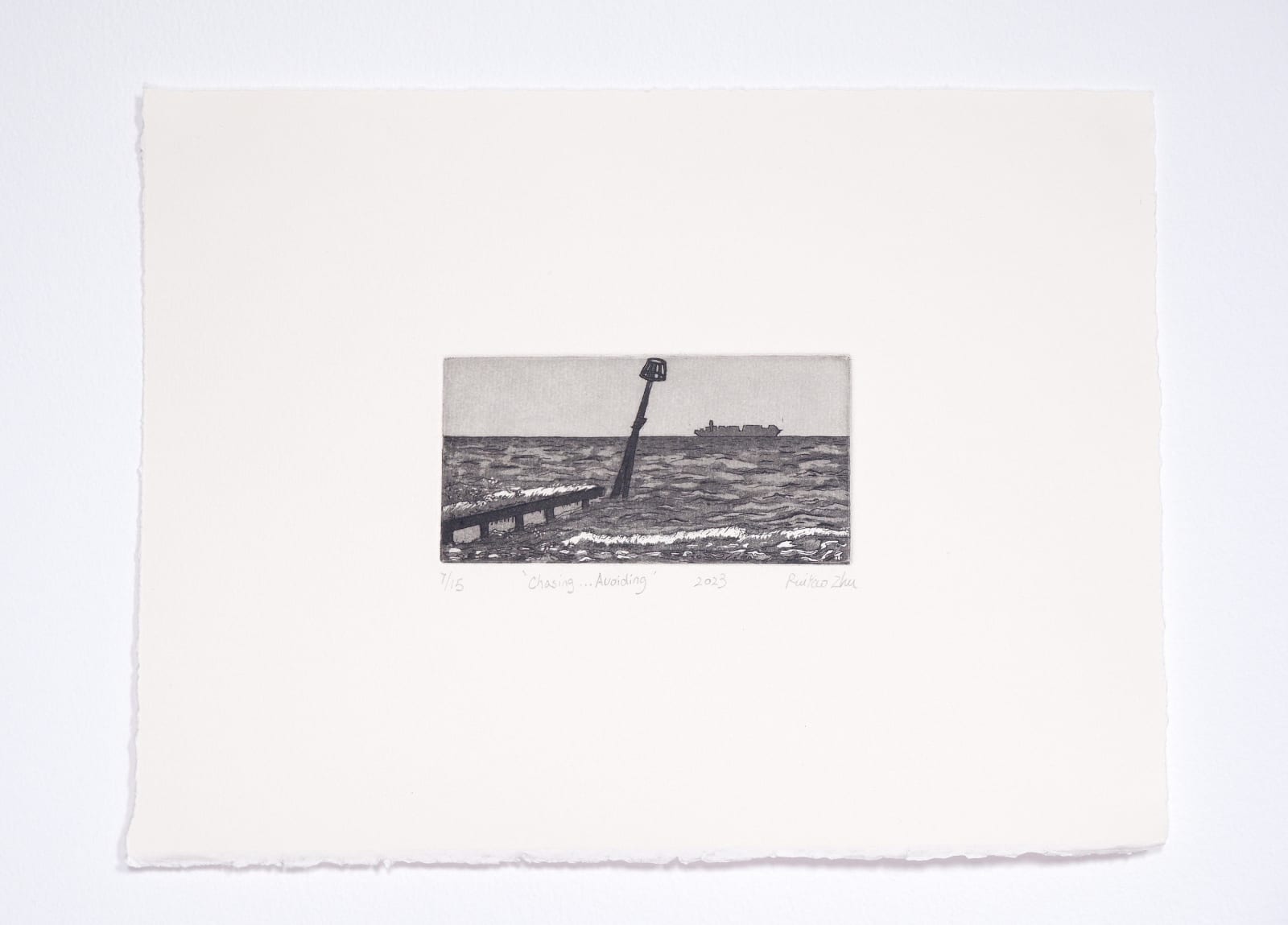 Ruiyao Zhu Student RE, Chasing...Avoiding