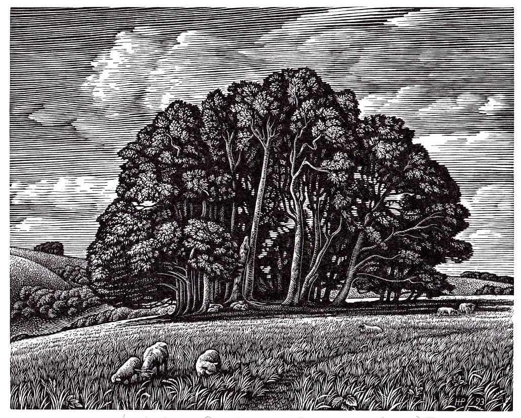 Howard Phipps ARE, Win Green from Berwick Down