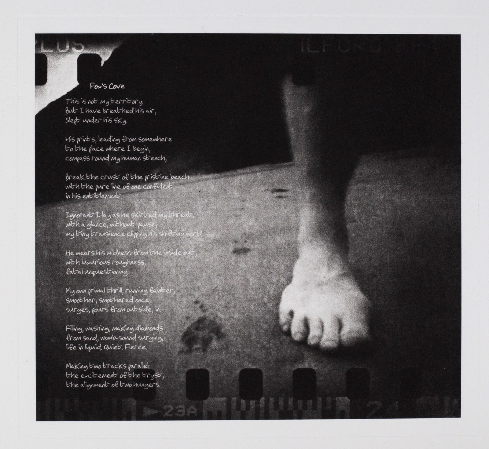 Mark Tweedie Guest RE, Dawn At Fox's Cove