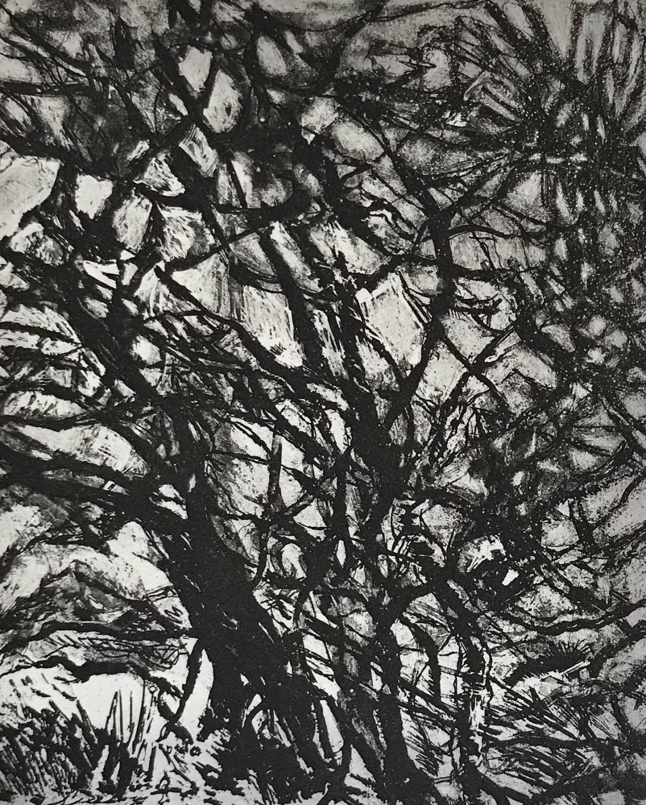 Jackie Newell RE, Into the Woods 3