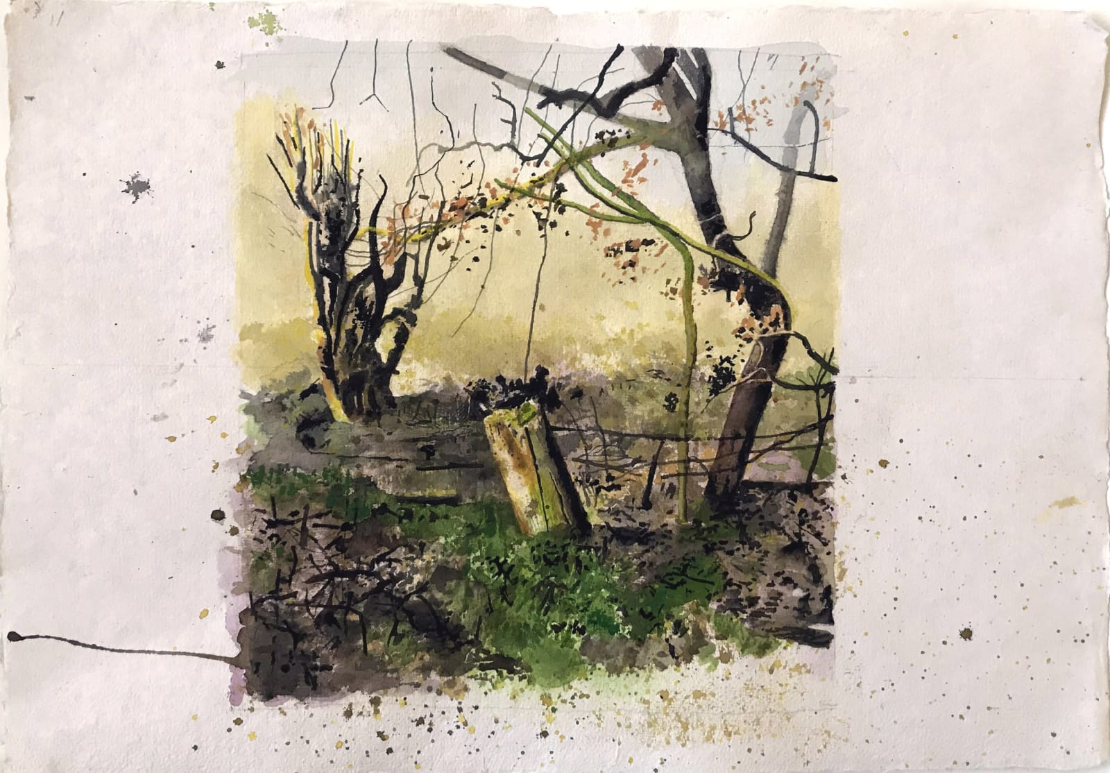 Iain Nicholls ARWS, Elsecar Cropped Trees Study 1