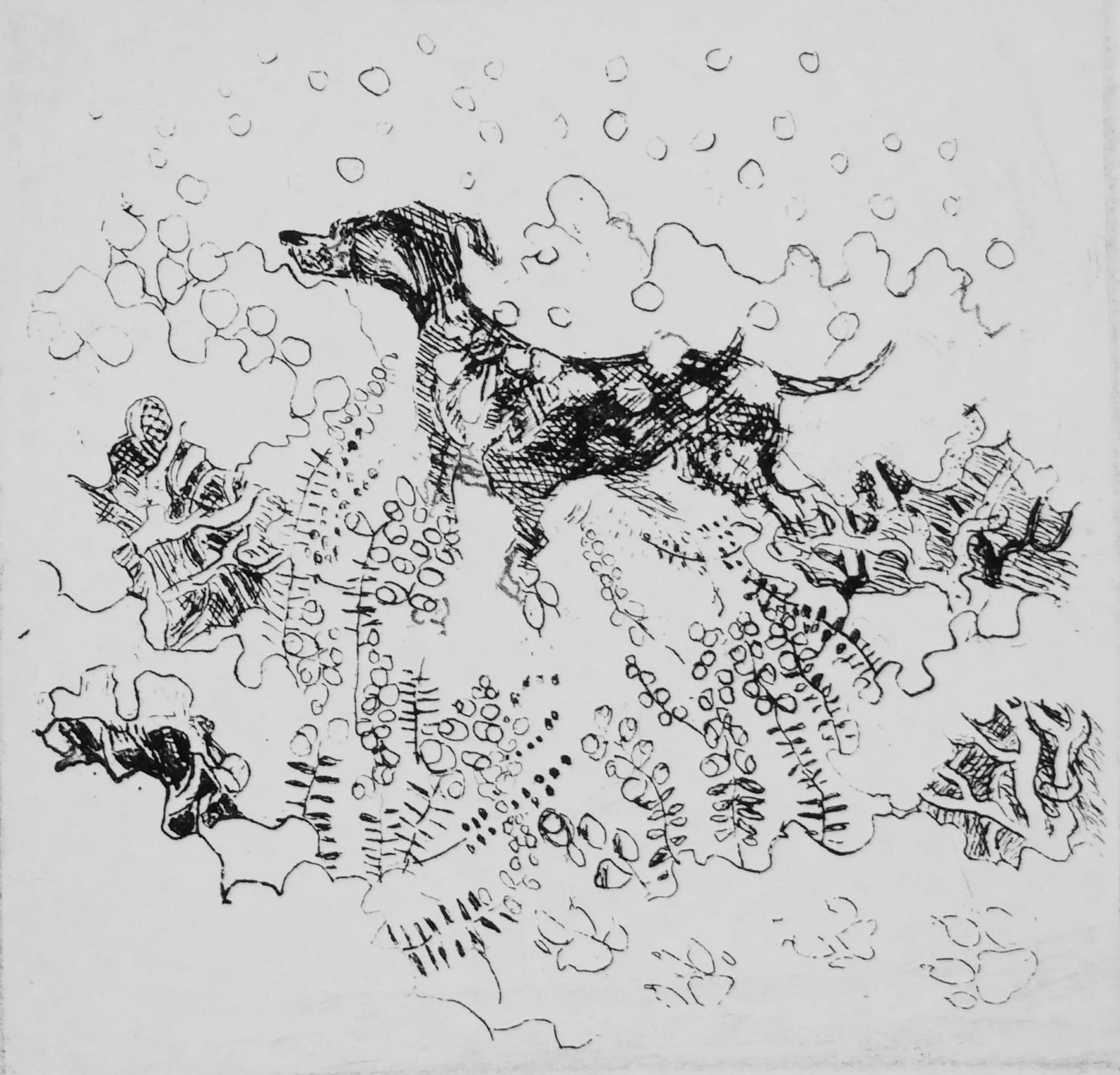 Rosamund Jones RE, Dog in Snow