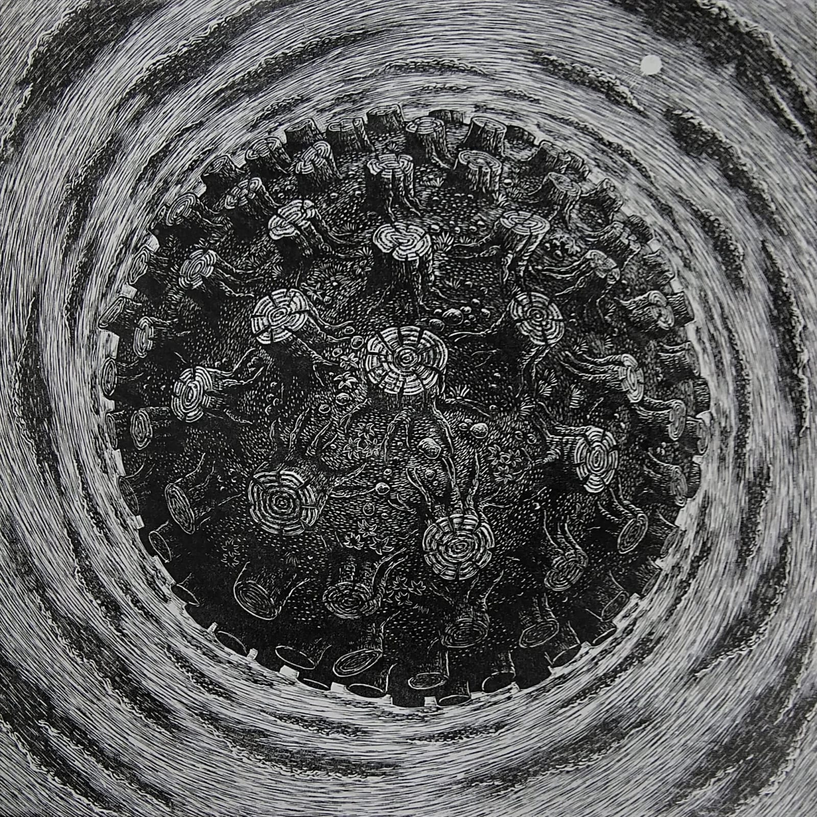 Martin Langford RE, Stumped