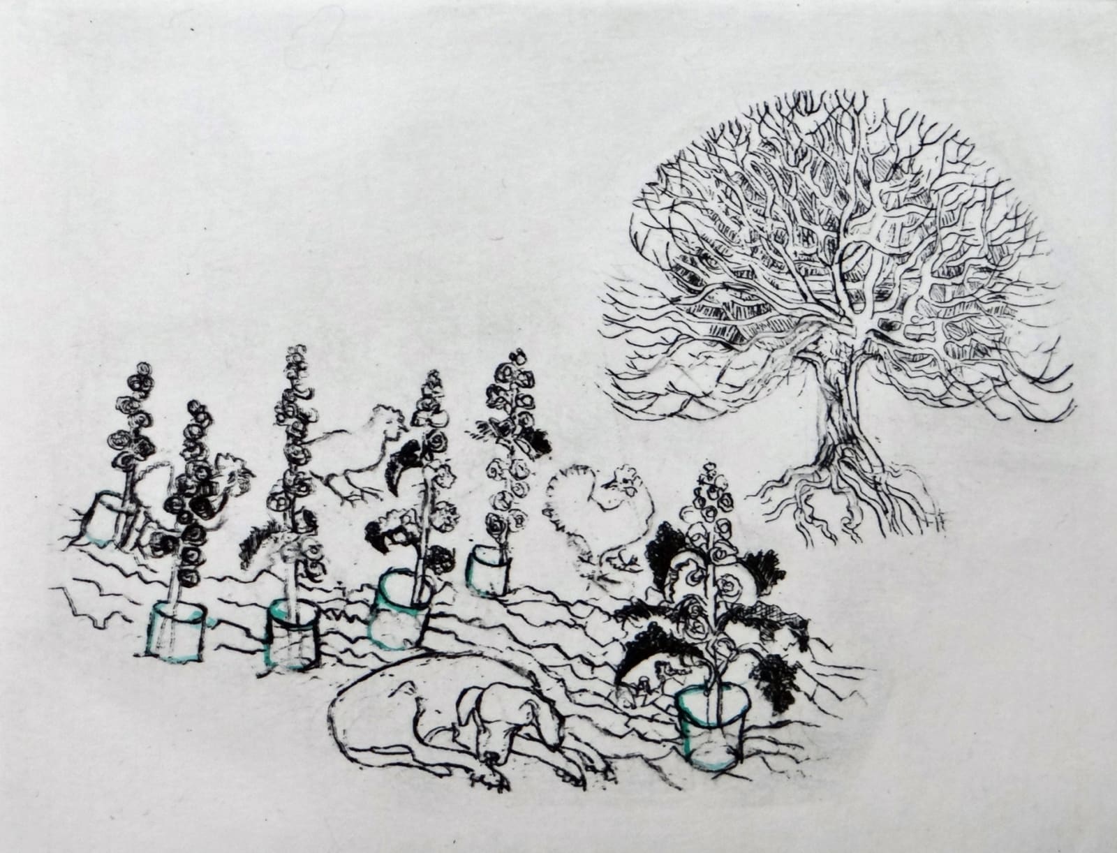 Rosamund Jones RE, Bonny's Patch