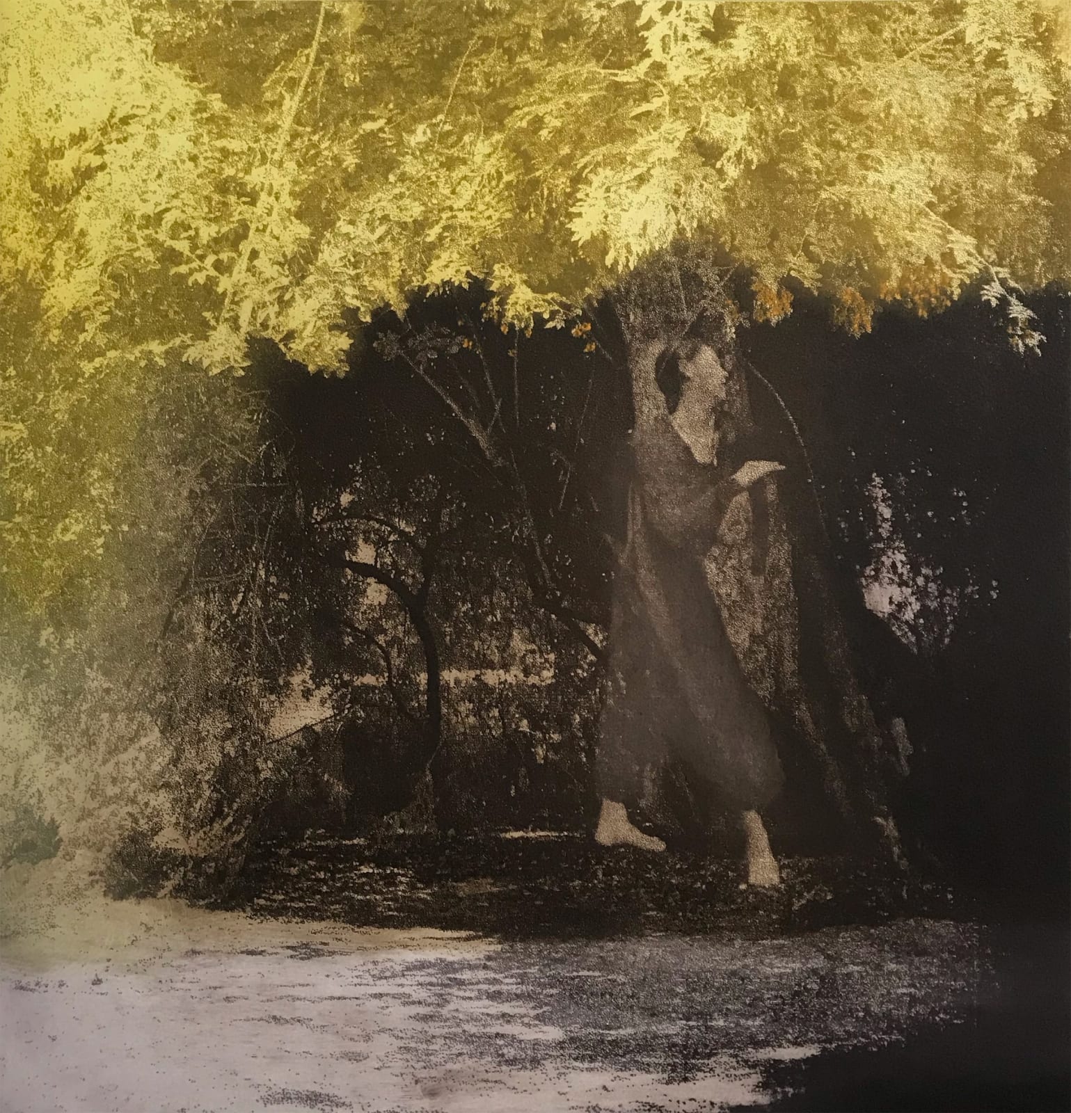 Margaret Ashman RE, Guardian of the Musk Rose