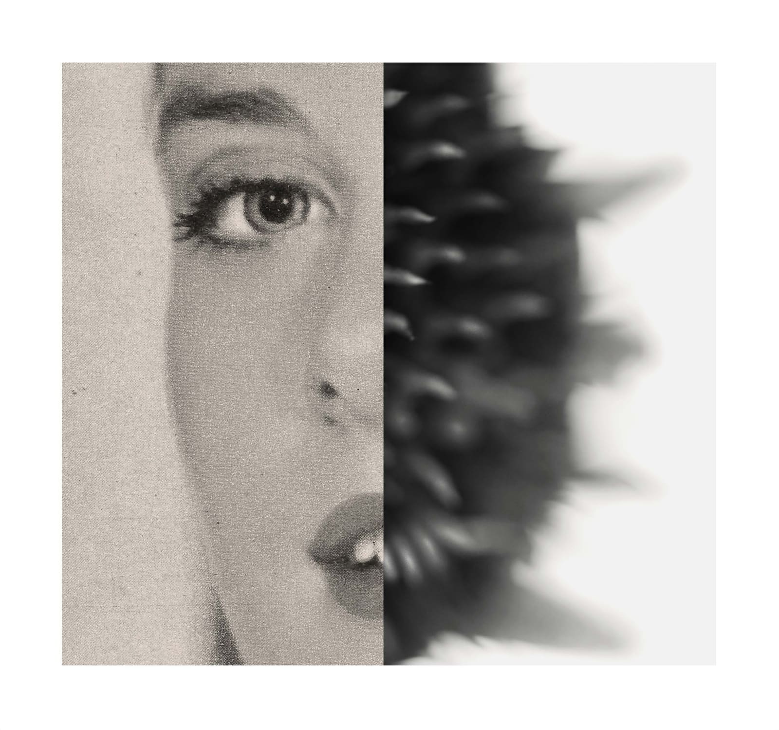 Gordon Ellis-Brown ARE, Huiman Nature (19)