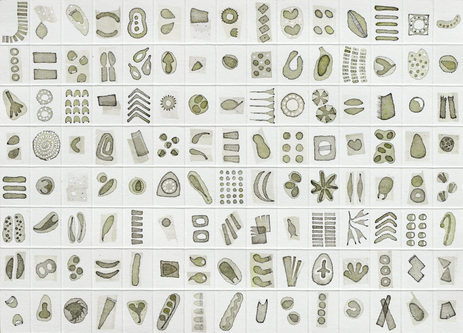 Rika Newcombe RWS, Micrarium I