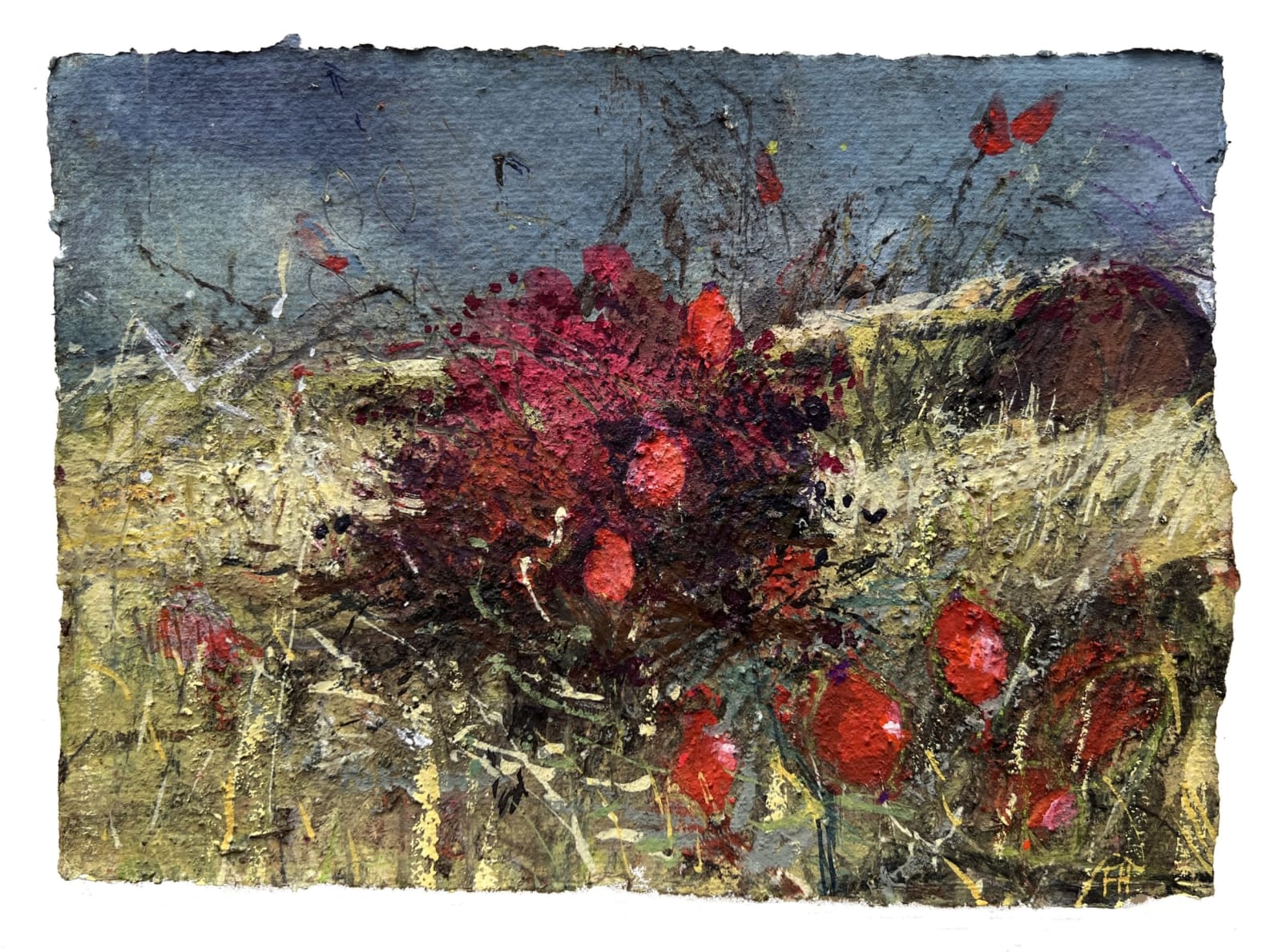 Frances Hatch RWS, Hips and Haws and Swallows. Cogden Nature Reserve, Chesil, Dorset.