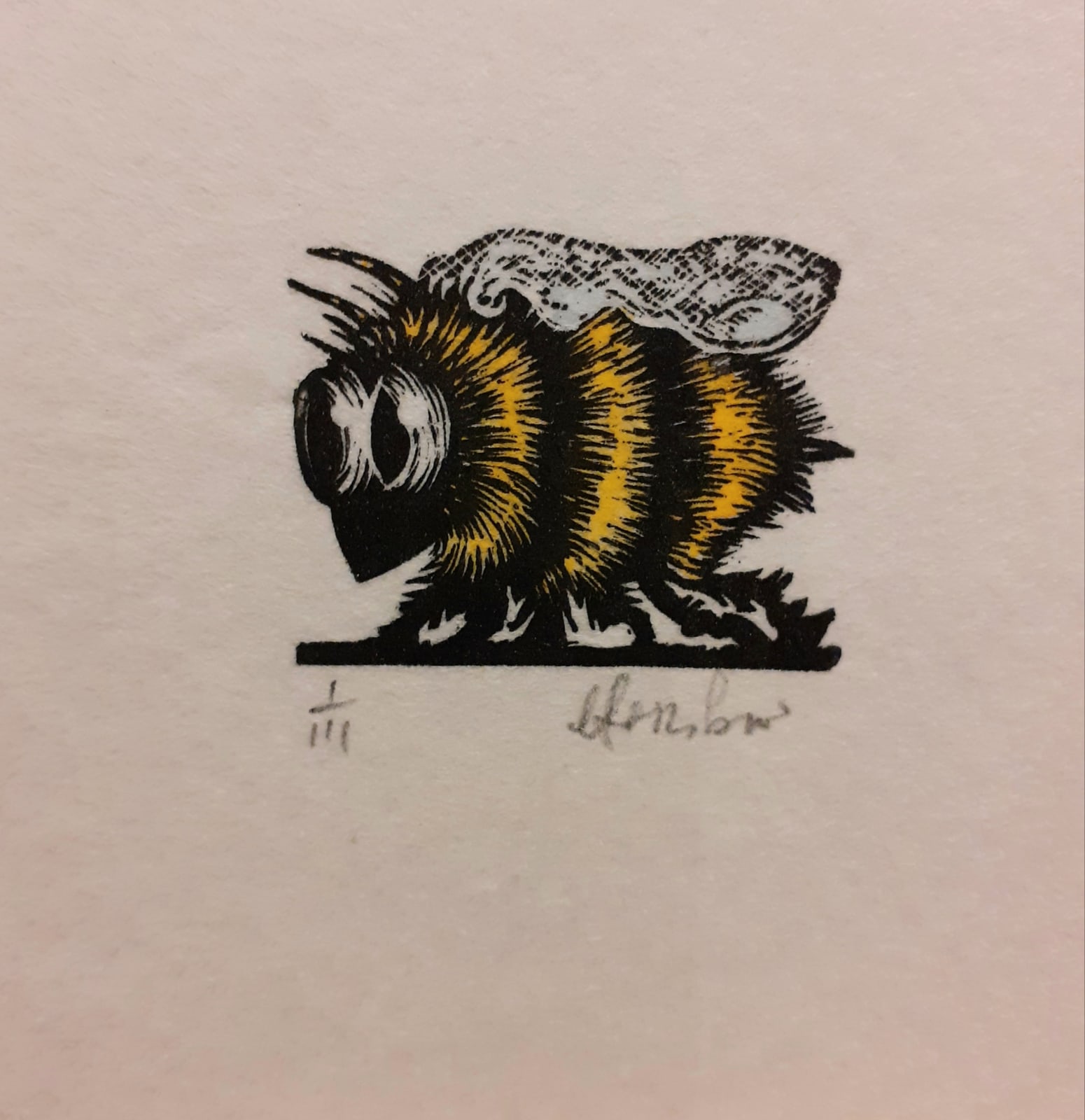 Brendan Hansbro ARE, Bumble Bee