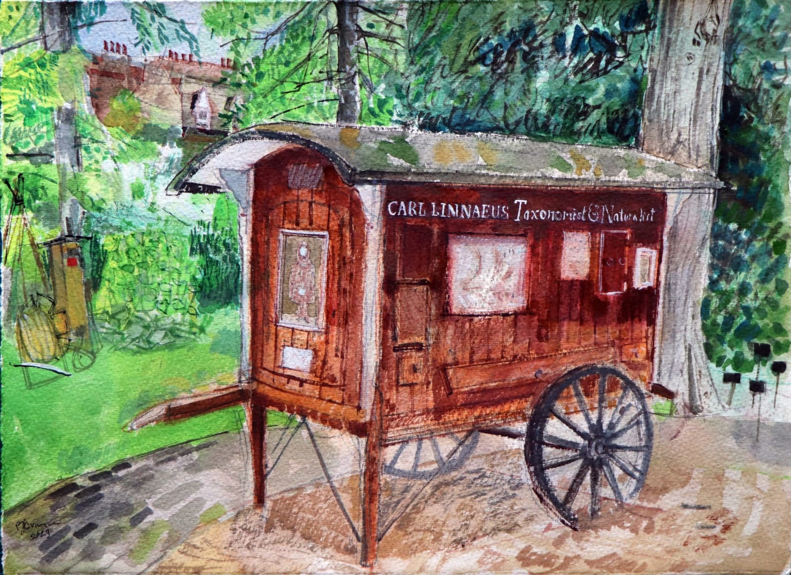 Peter Quinn RWS, Linnaeus