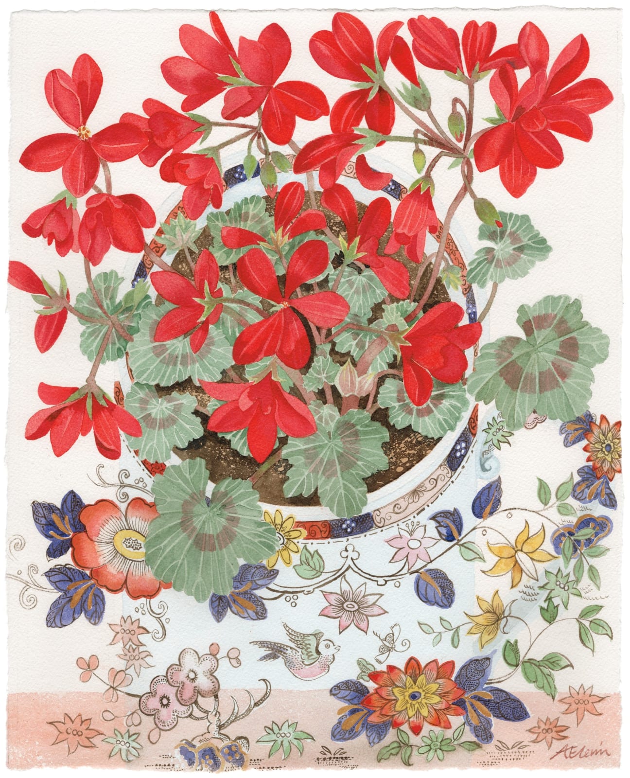 Angie Lewin RWS RE, Pelargonium in Floral Cup