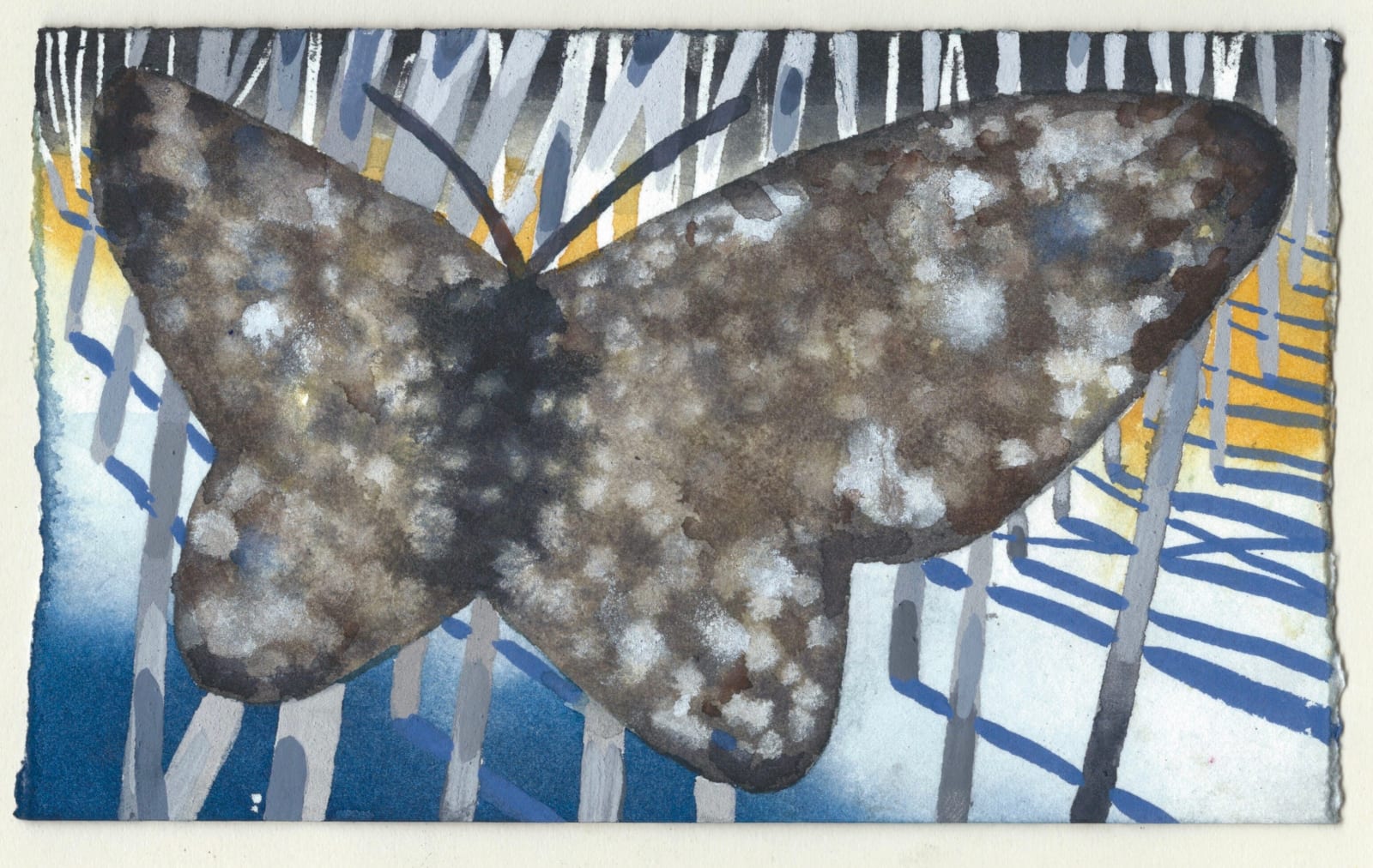 Ned Elliott Guest RWS, Butterfly in Woods