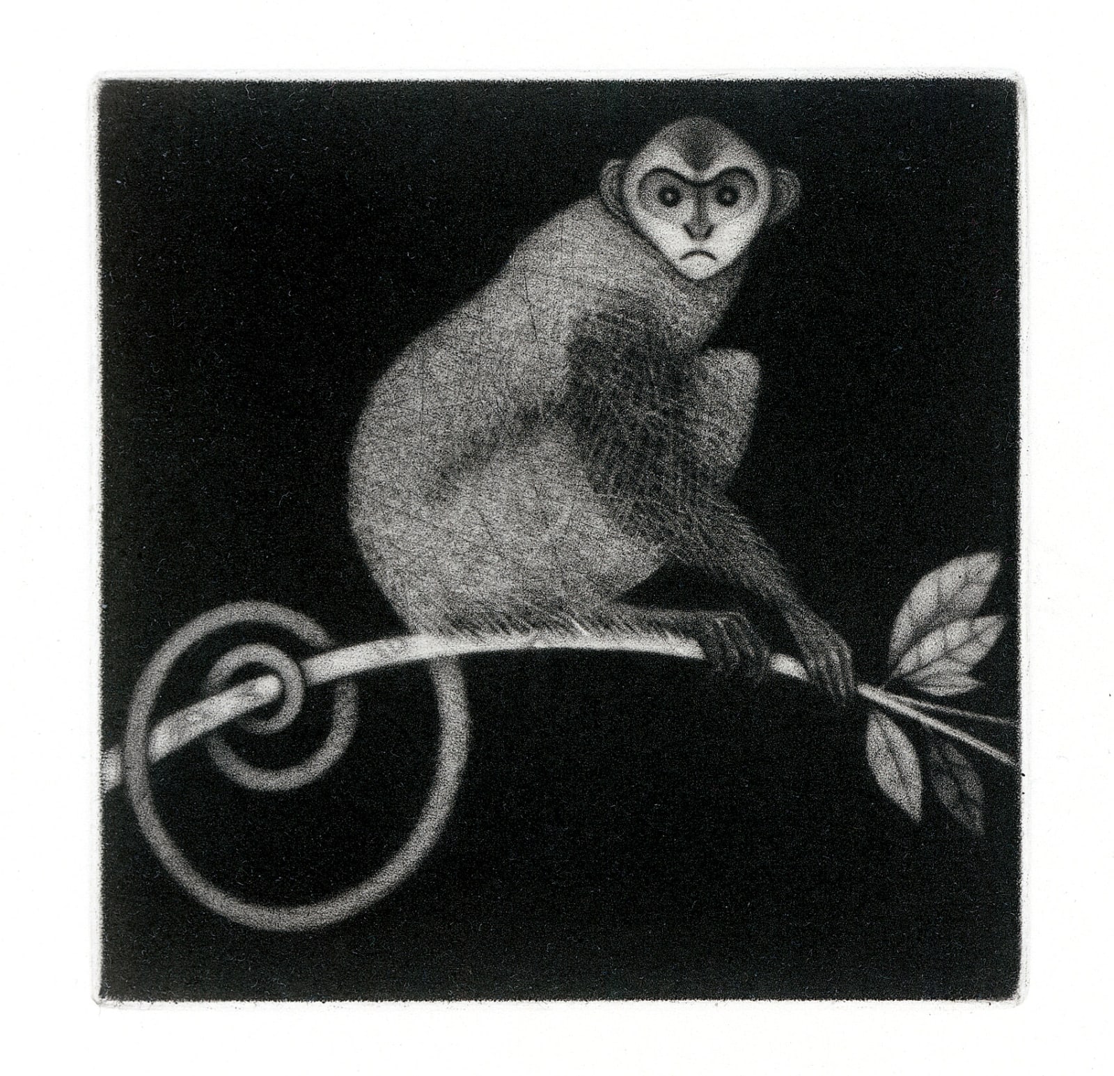Roger Harris RE, Little Monkey